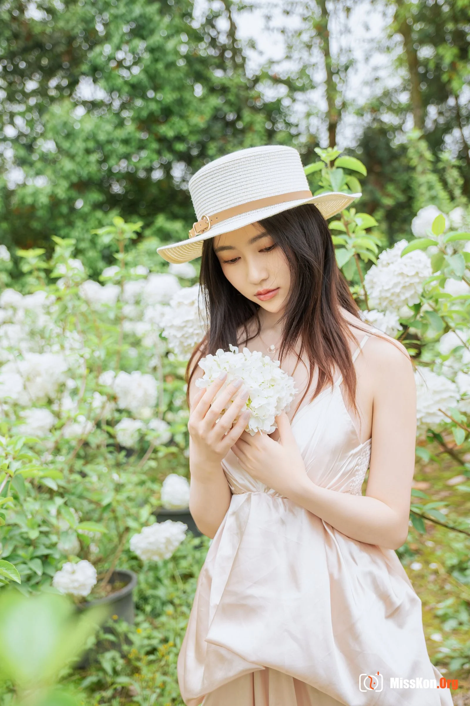 Hydrangea - Photo 14