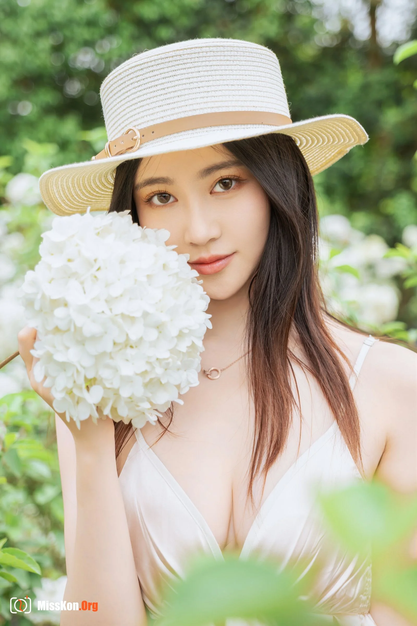 Hydrangea - Photo 15