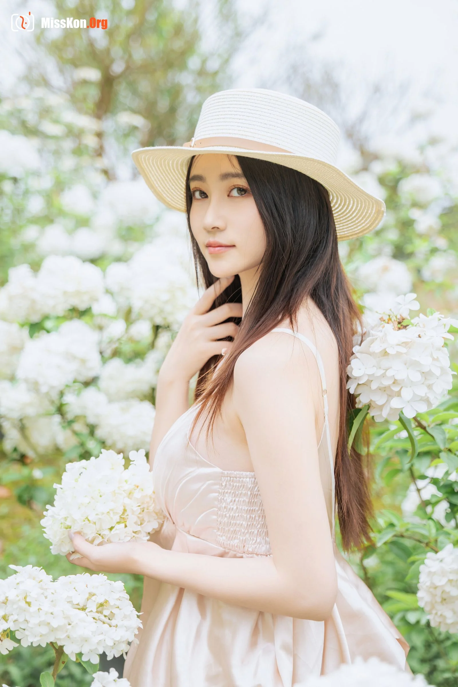 Hydrangea - Photo 16
