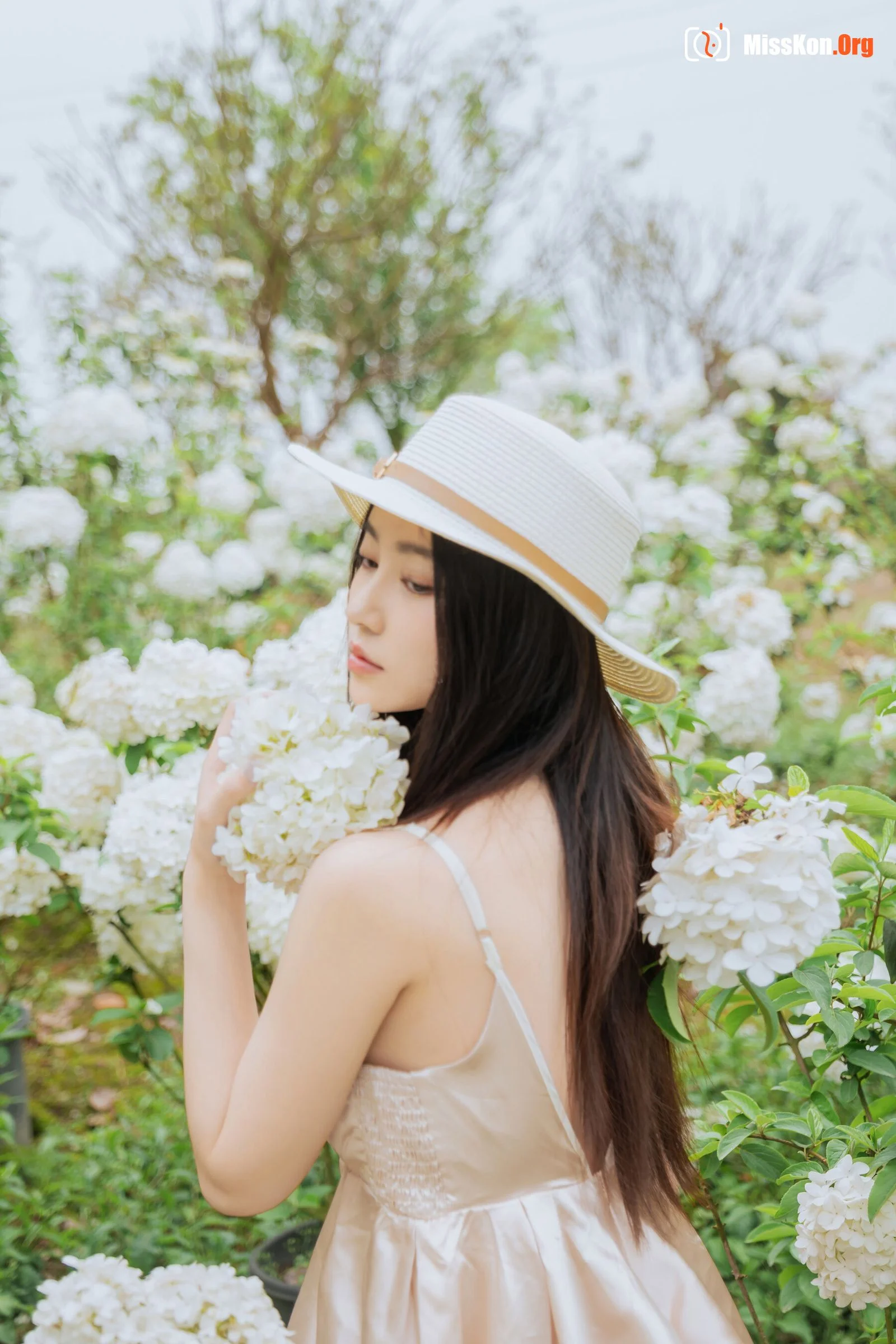 Hydrangea - Photo 17