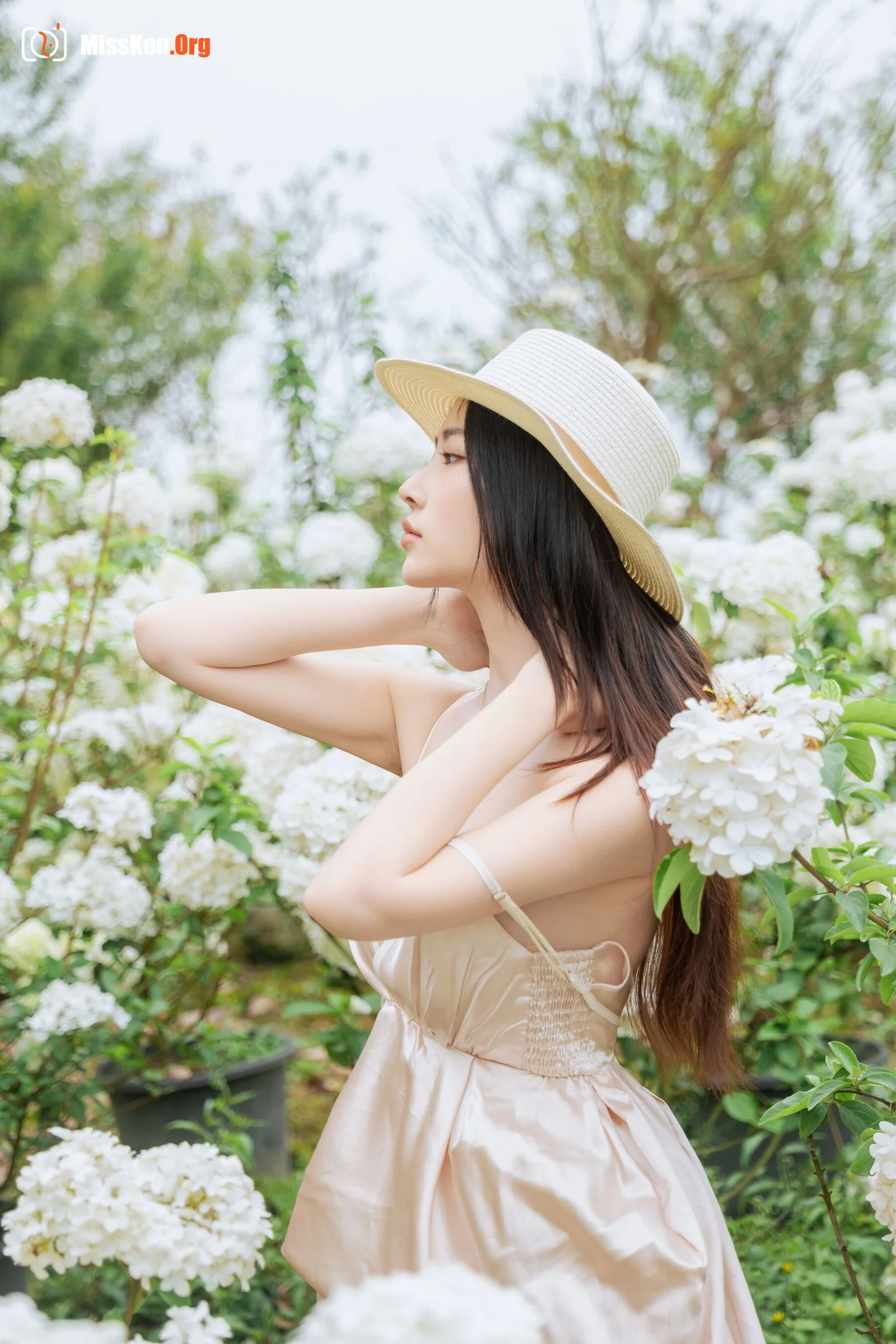 Hydrangea - Photo 18