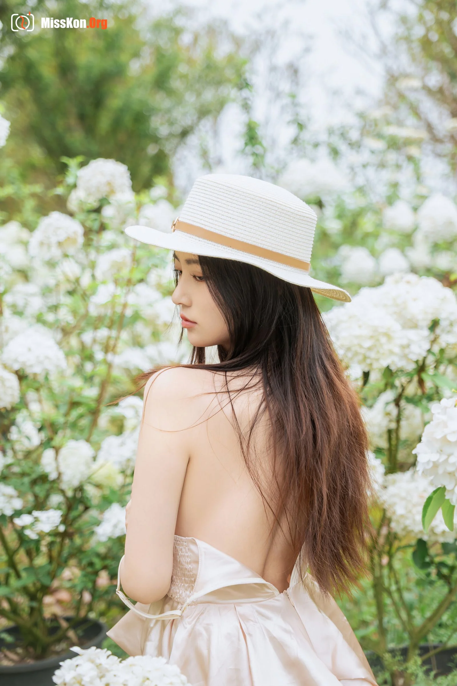 Hydrangea - Photo 19