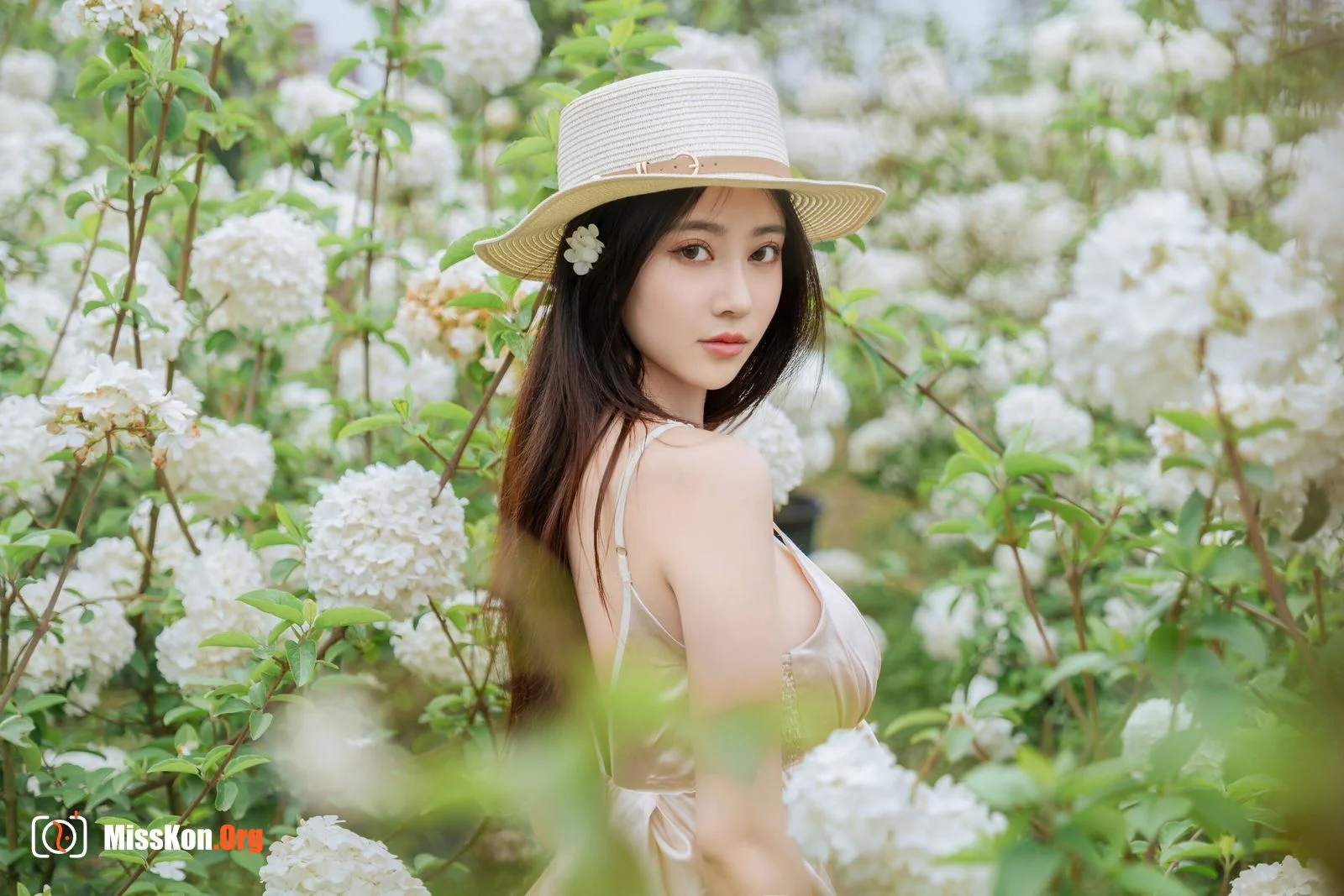 Hydrangea - Photo 2
