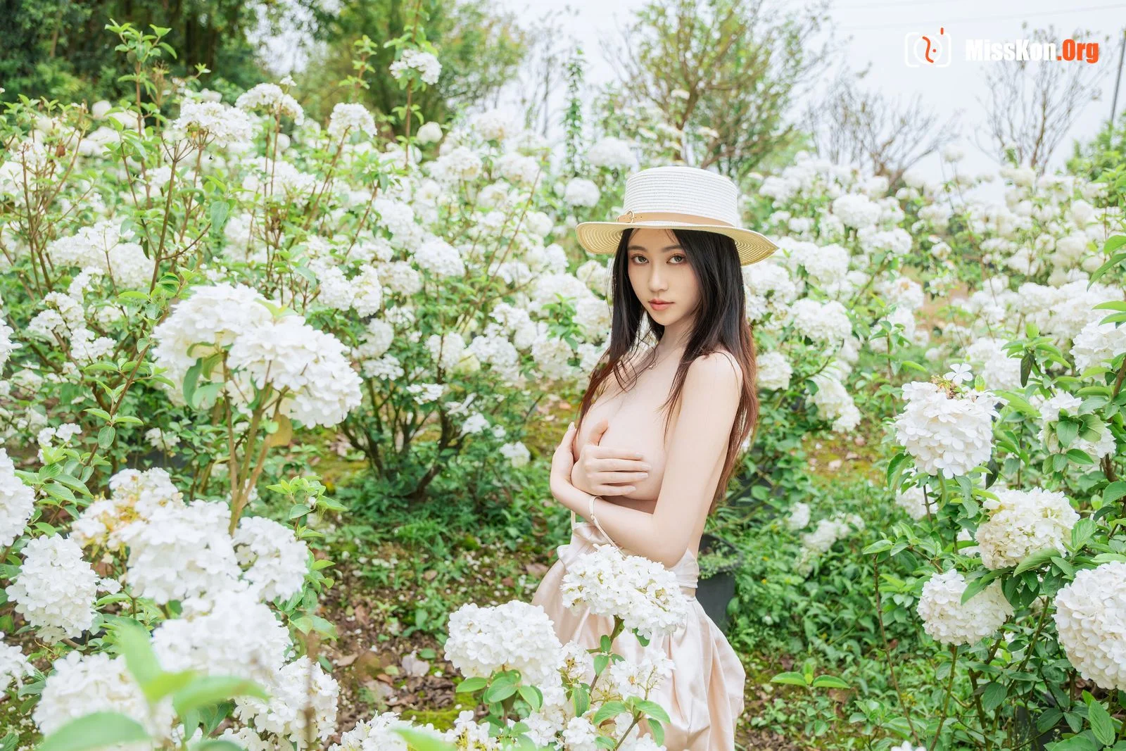 Hydrangea - Photo 25