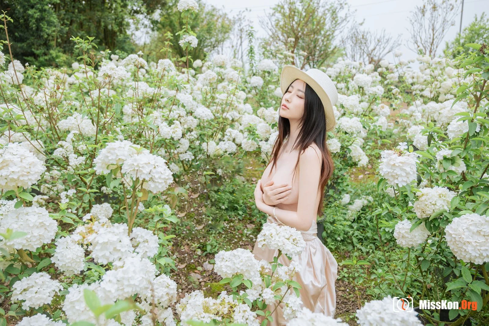 Hydrangea - Photo 26