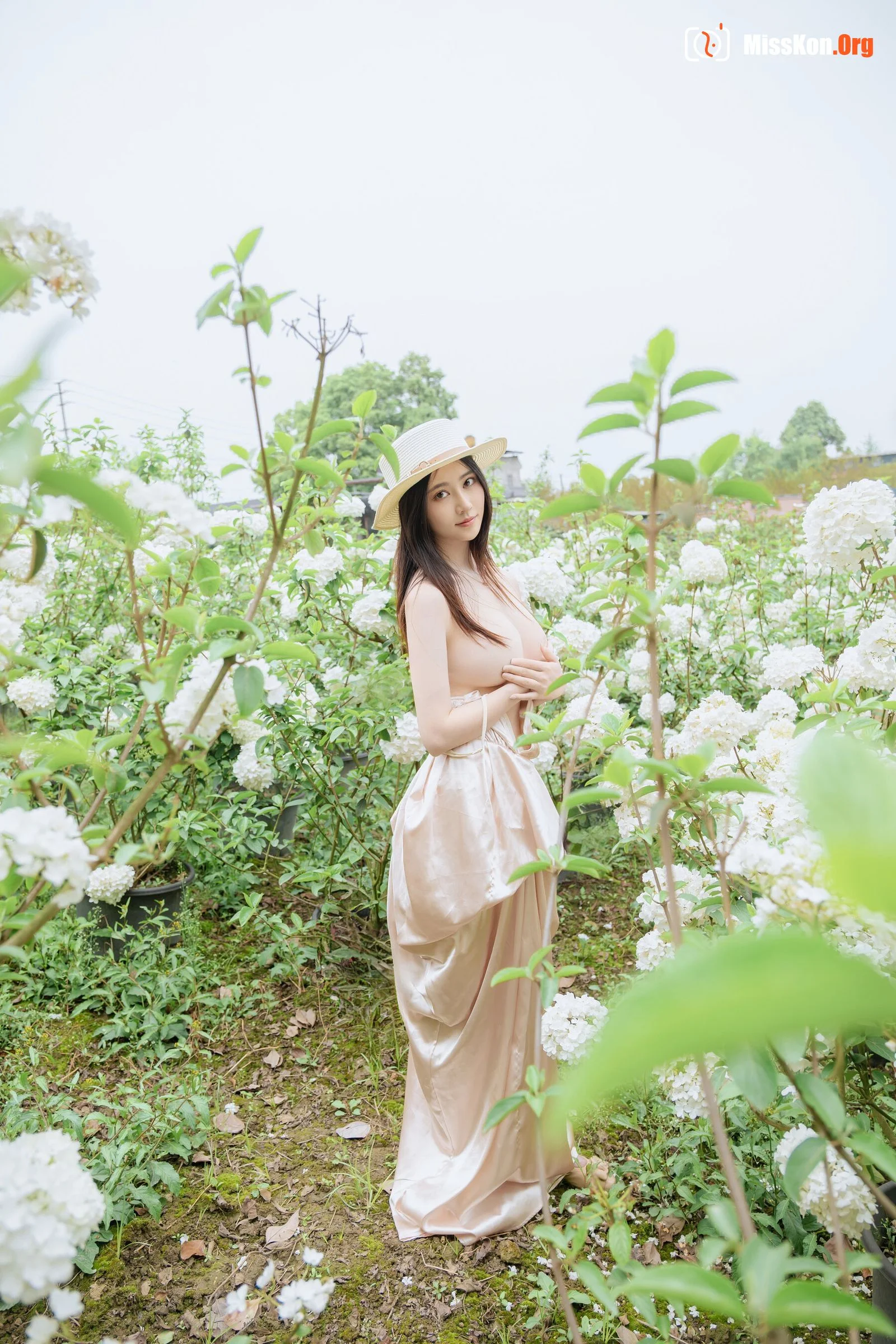 Hydrangea - Photo 27