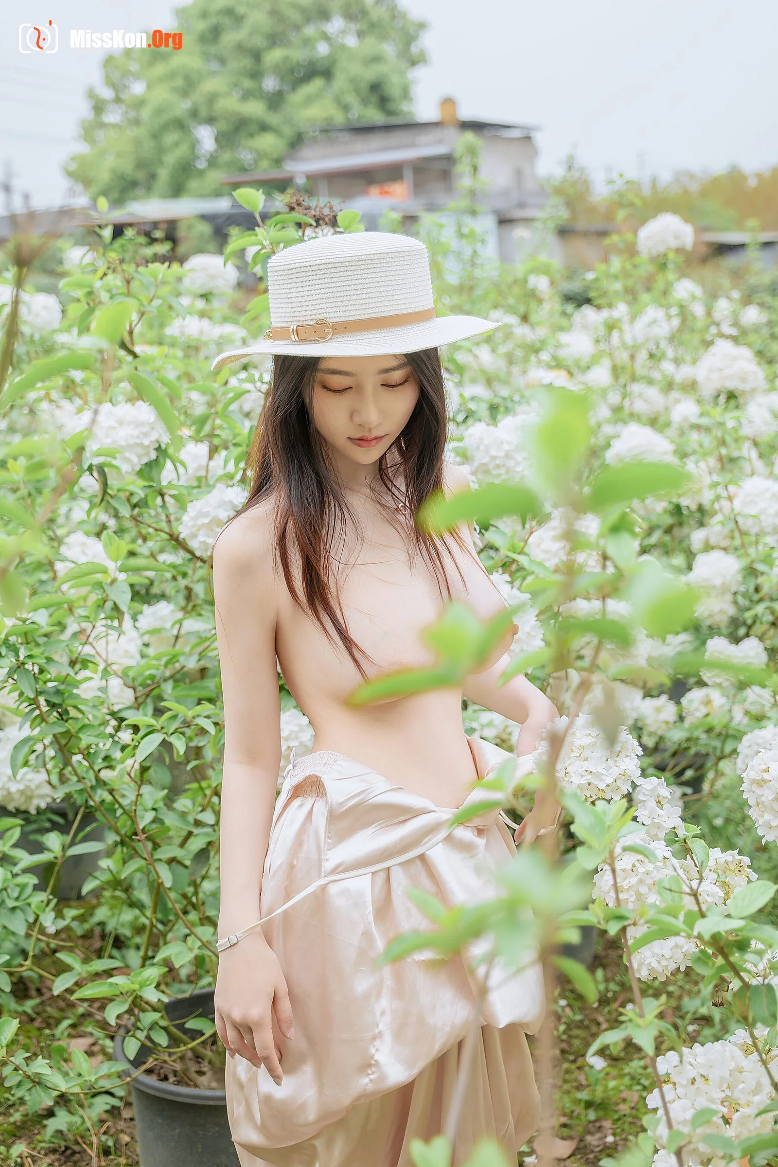 Hydrangea - Photo 28