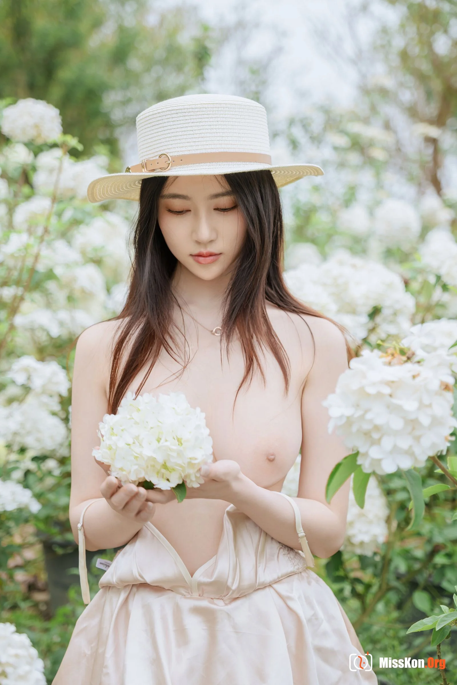 Hydrangea - Photo 32