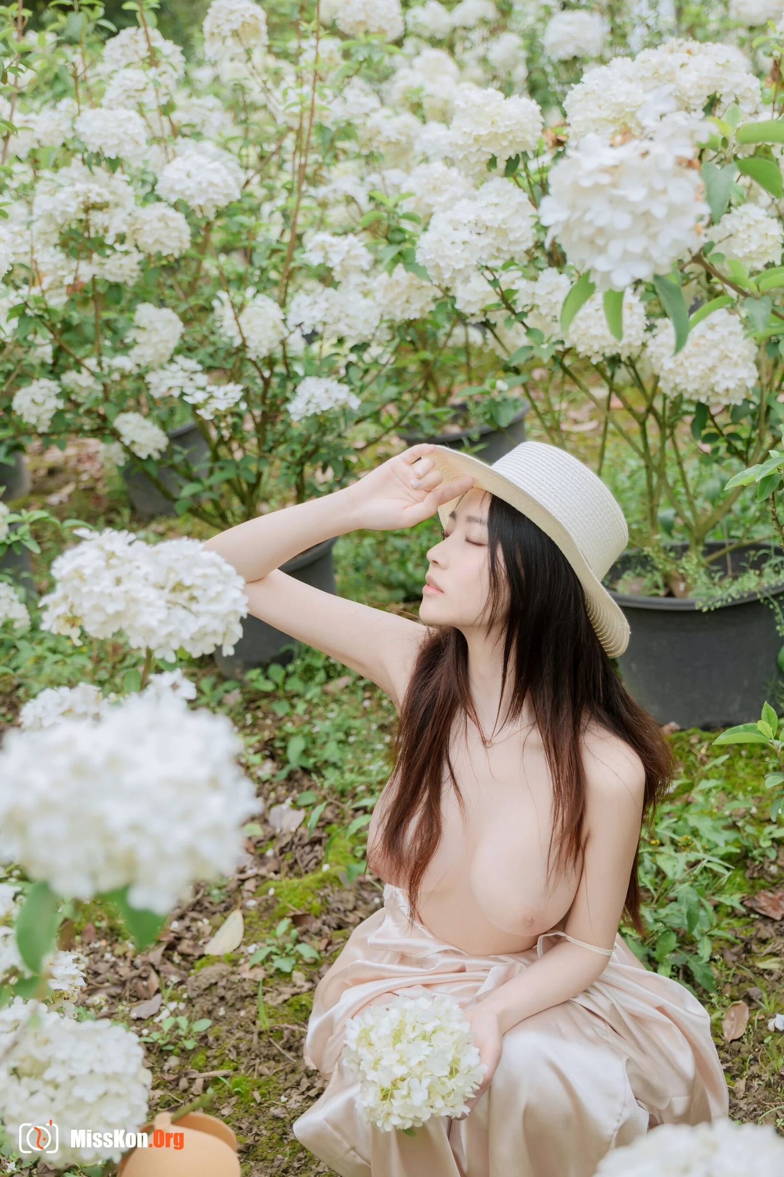 Hydrangea - Photo 42