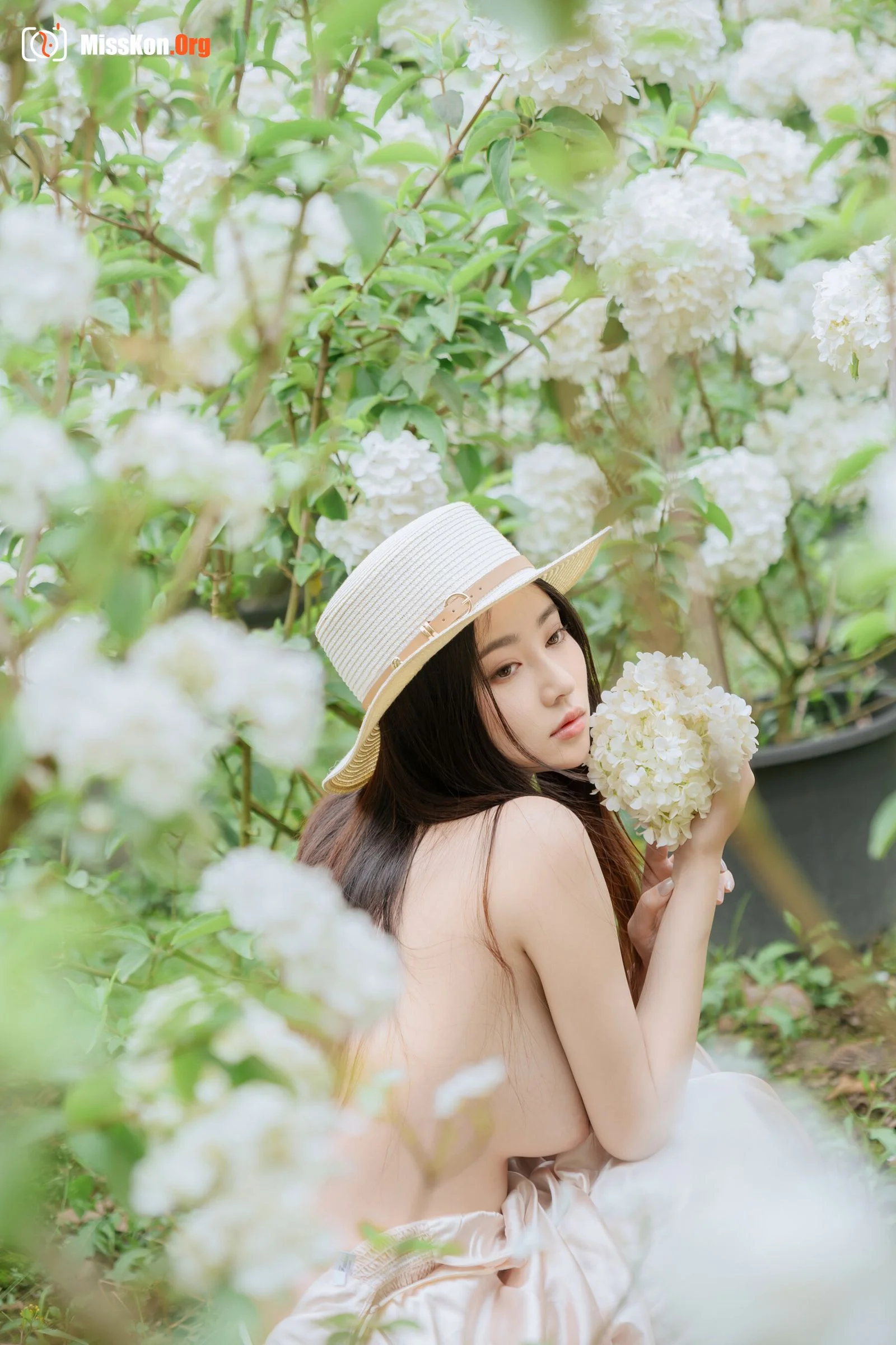 Hydrangea - Photo 43