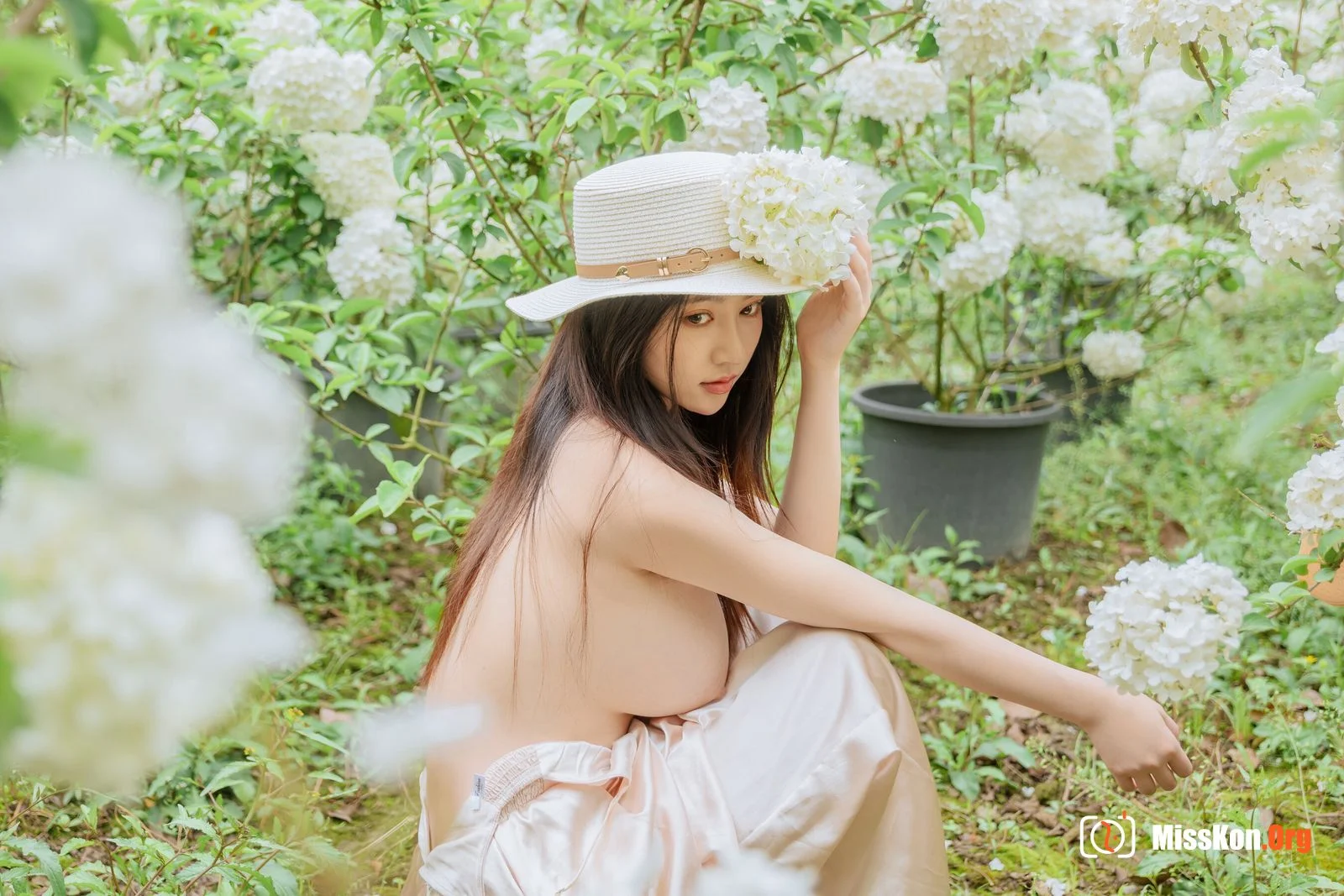 Hydrangea - Photo 51