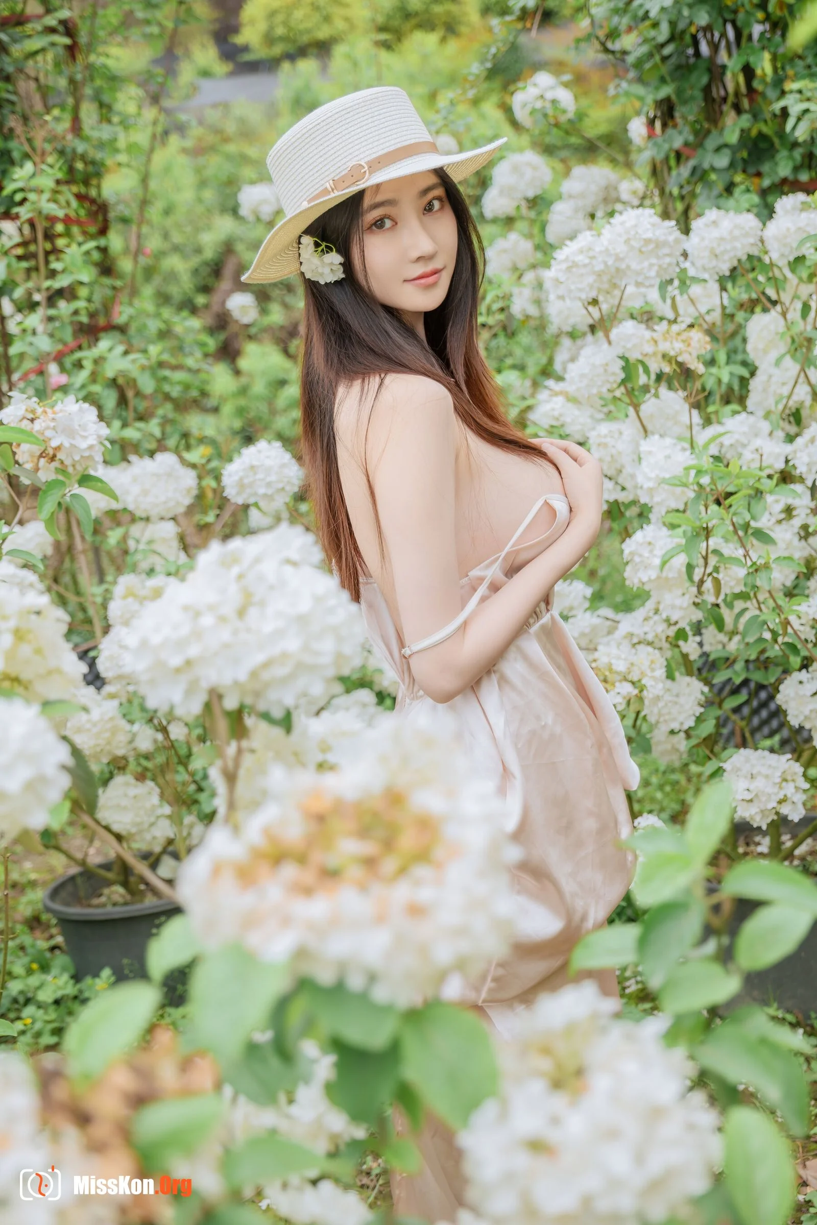 Hydrangea - Photo 54