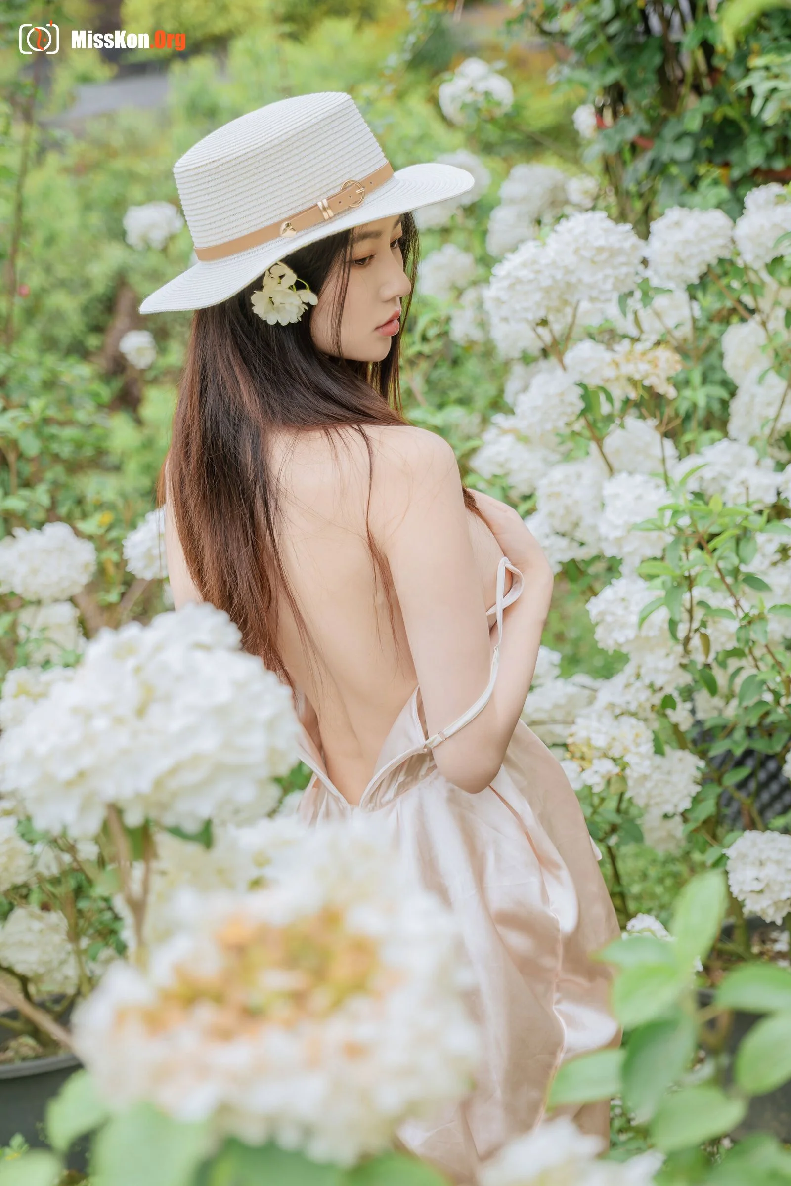 Hydrangea - Photo 55