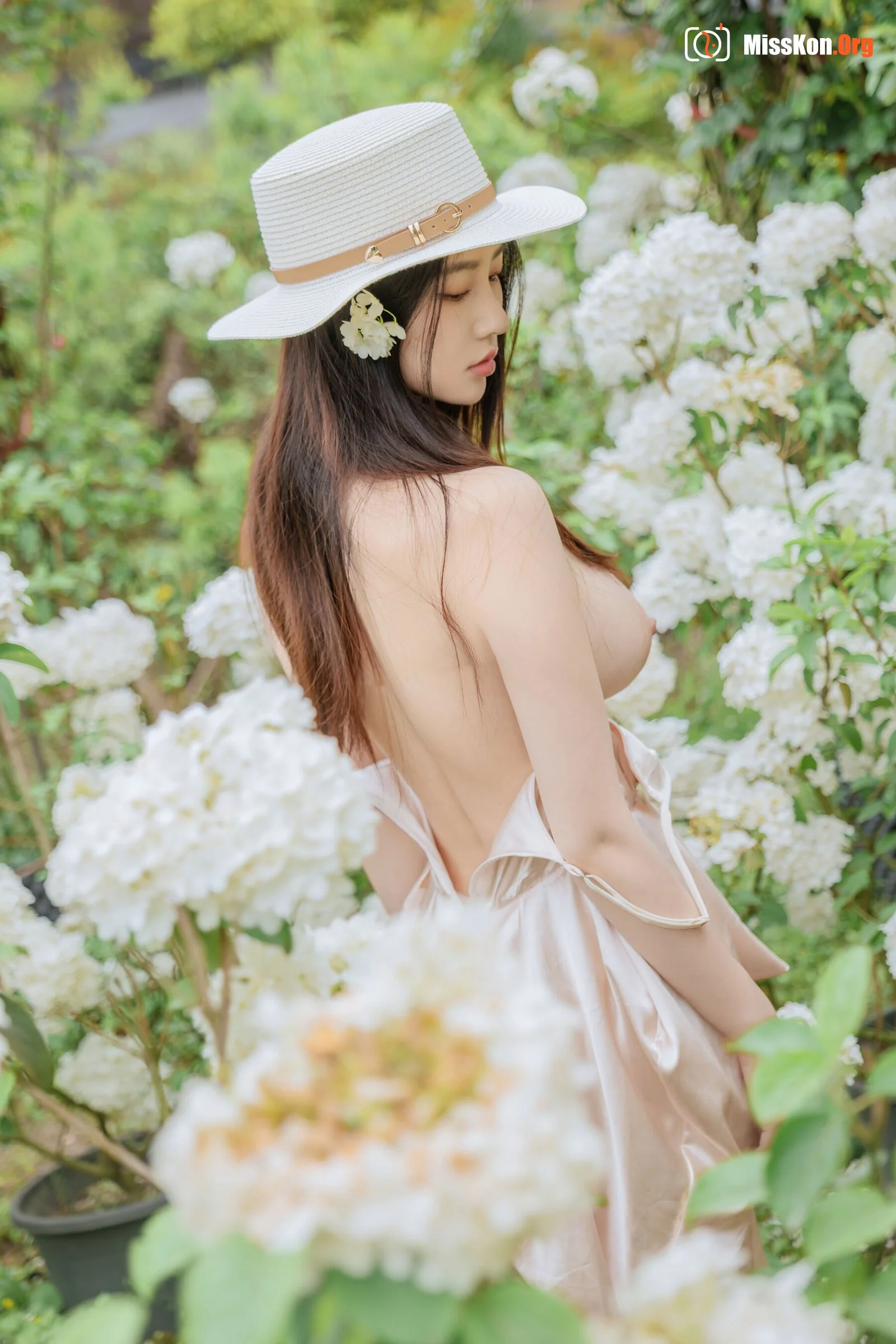 Hydrangea - Photo 56