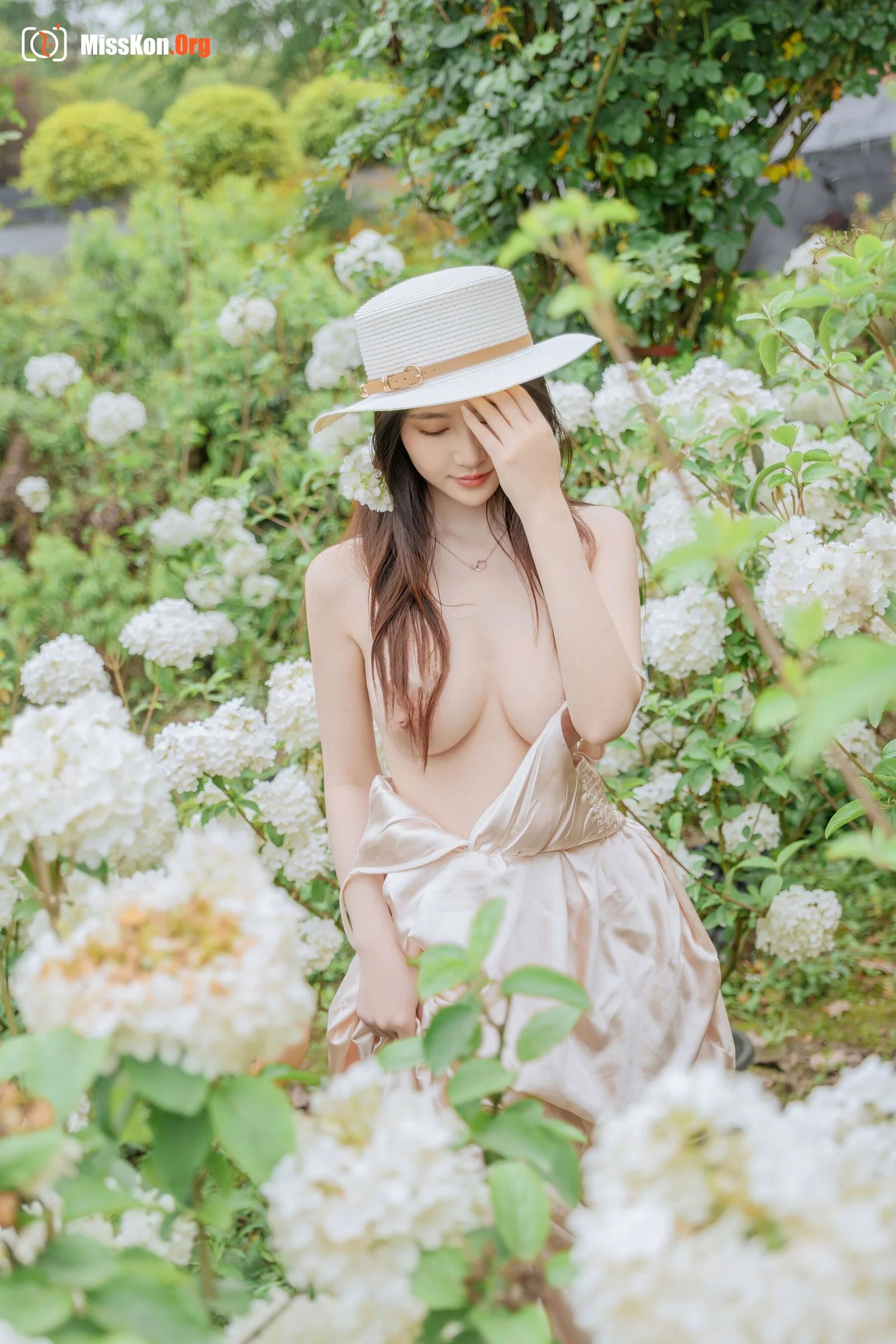 Hydrangea - Photo 62