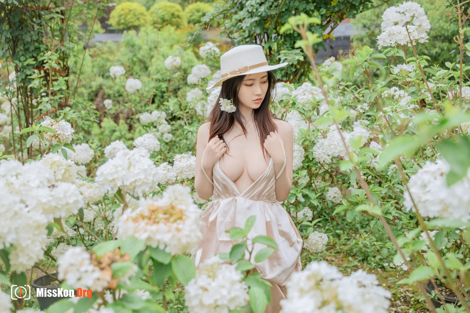 Hydrangea - Photo 64