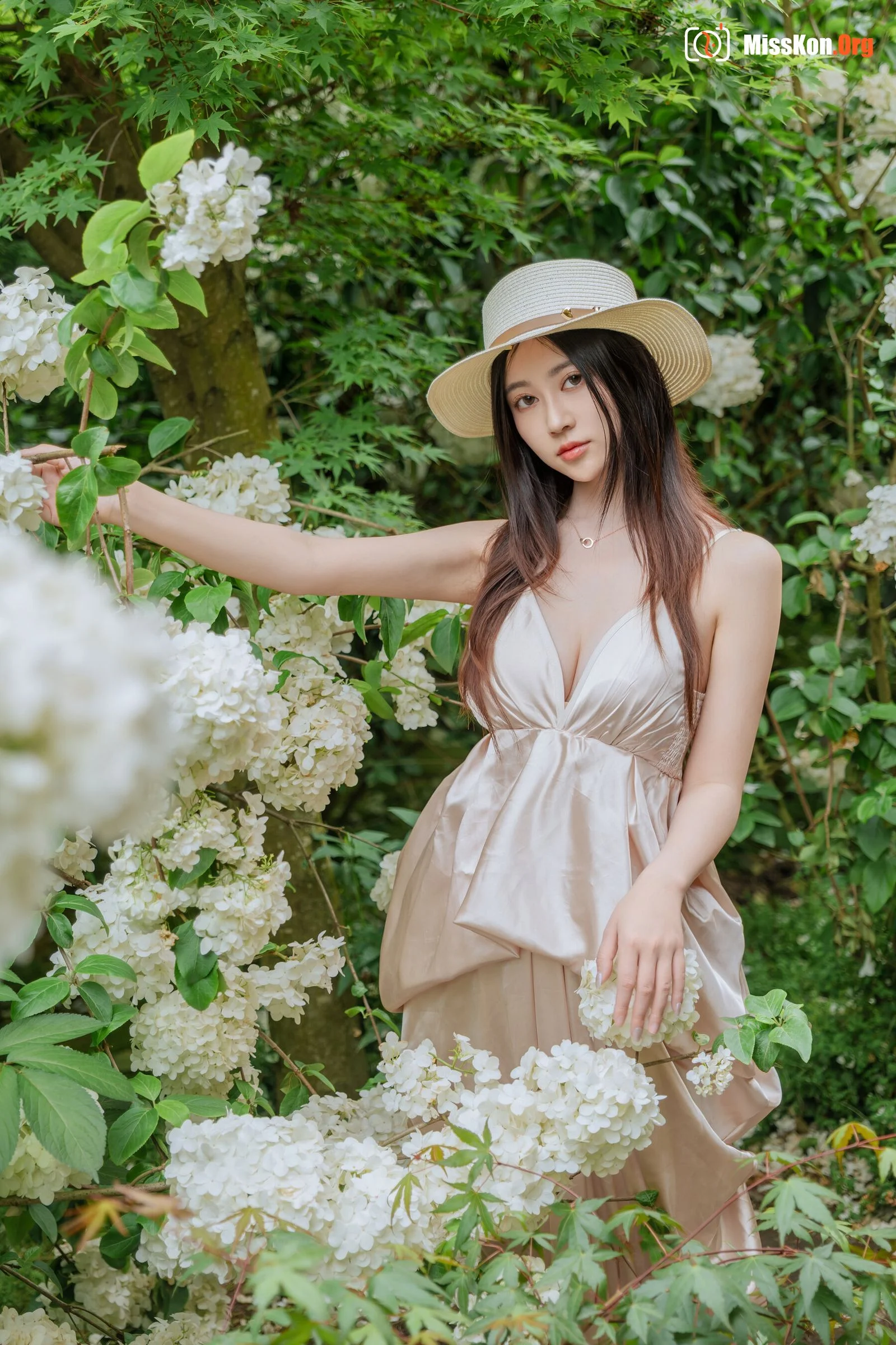 Hydrangea - Photo 66