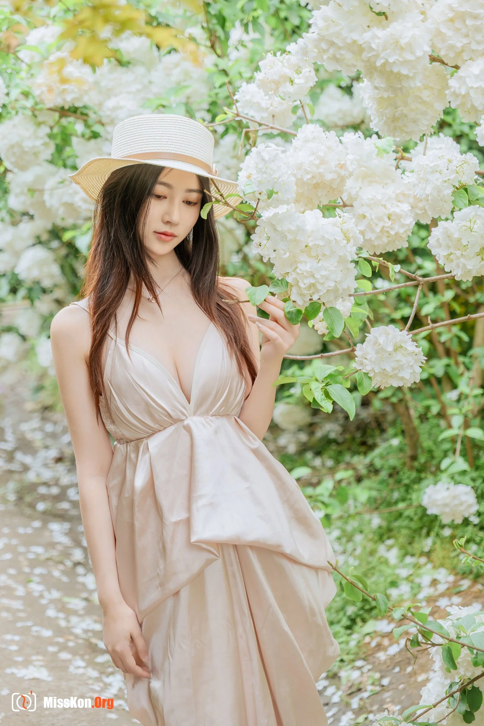 Hydrangea - Photo 68