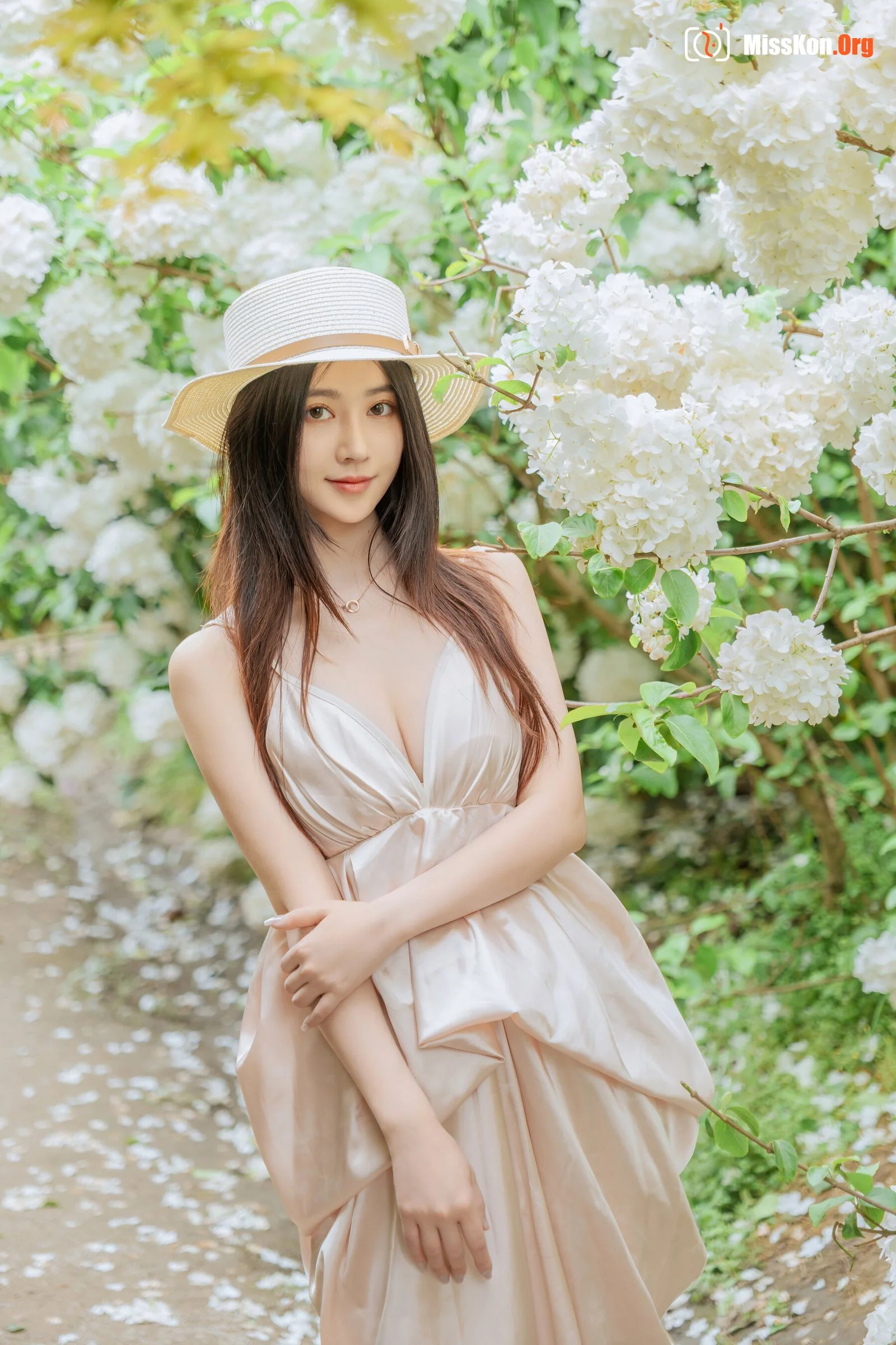 Hydrangea - Photo 69