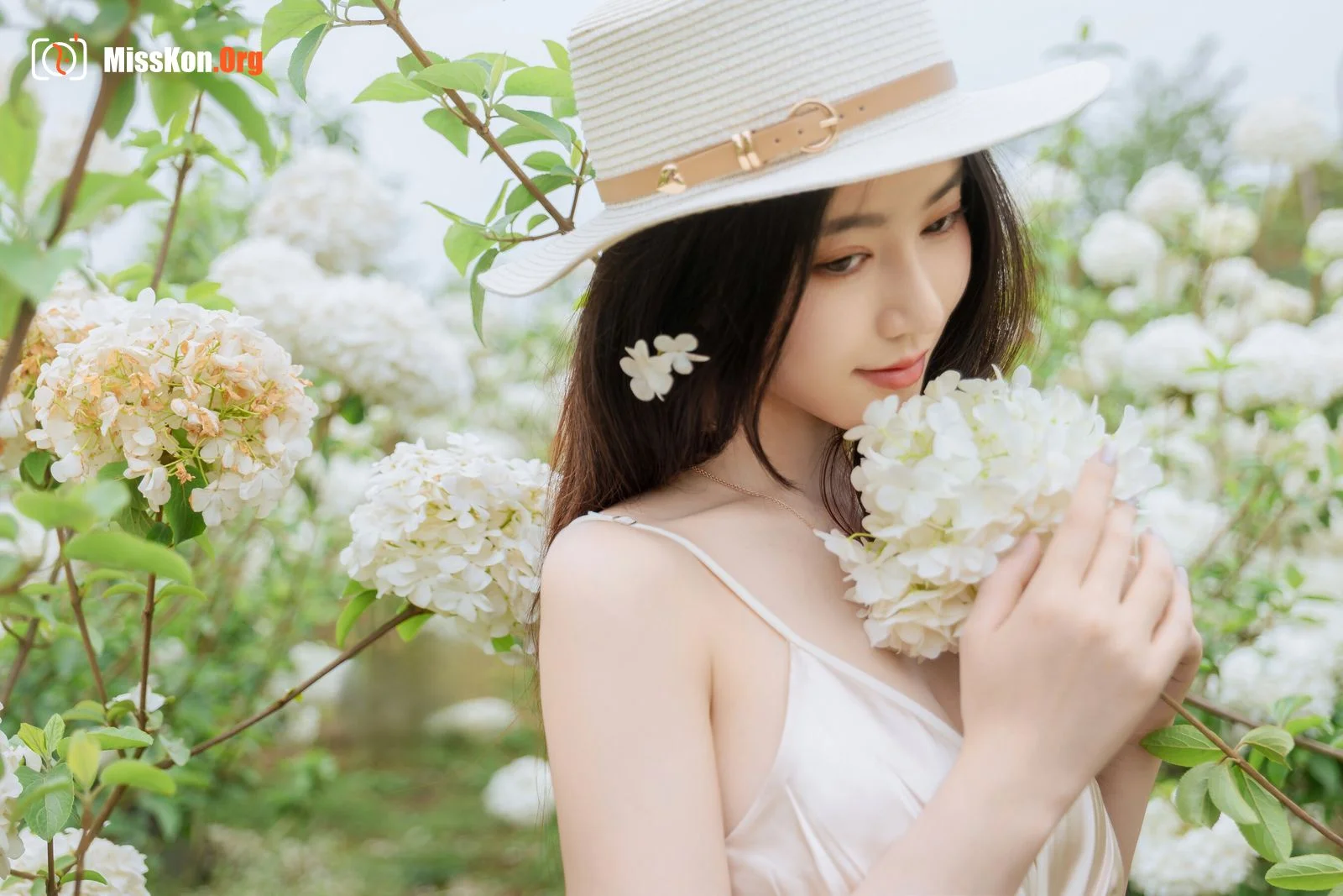 Hydrangea - Photo 7