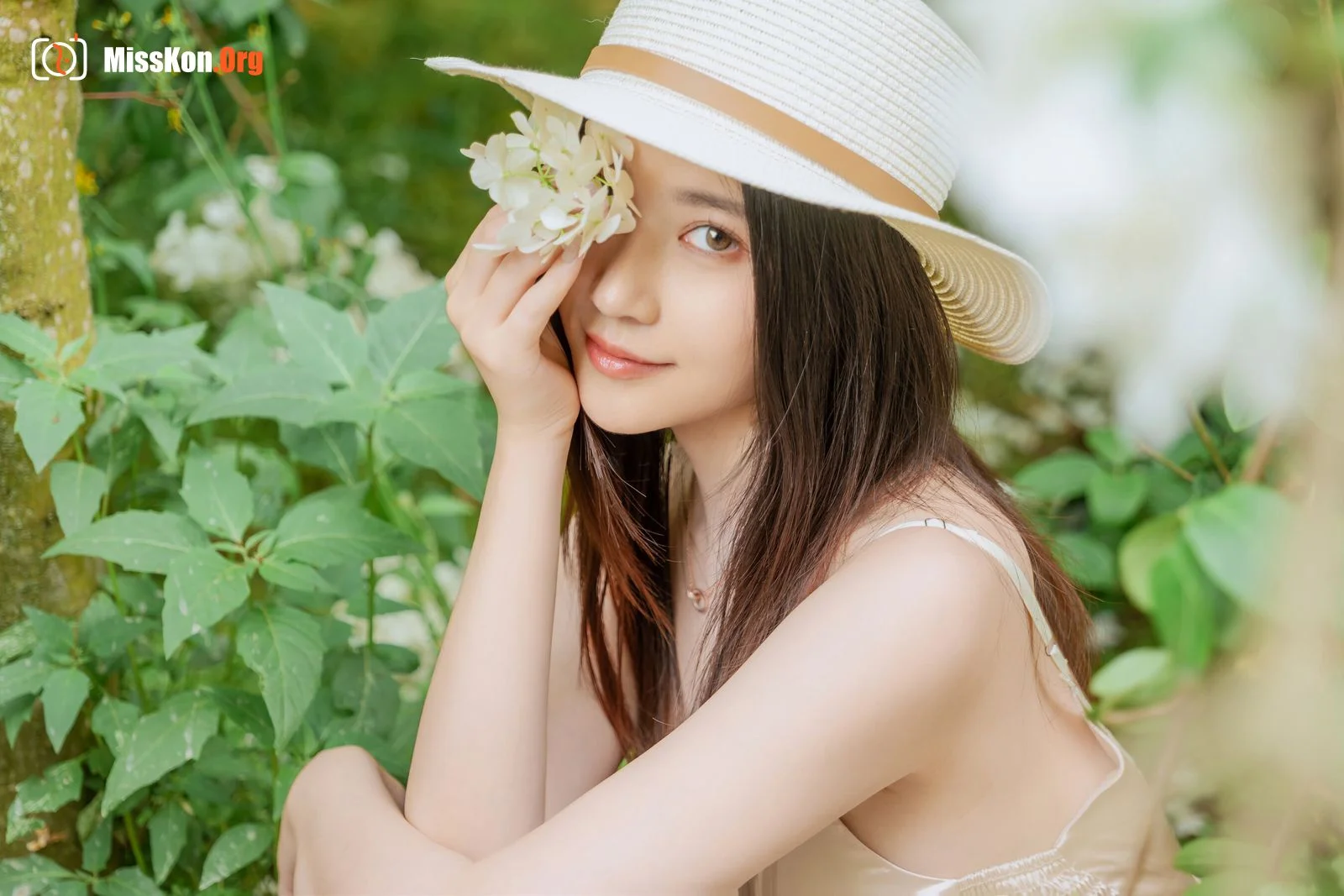 Hydrangea - Photo 80