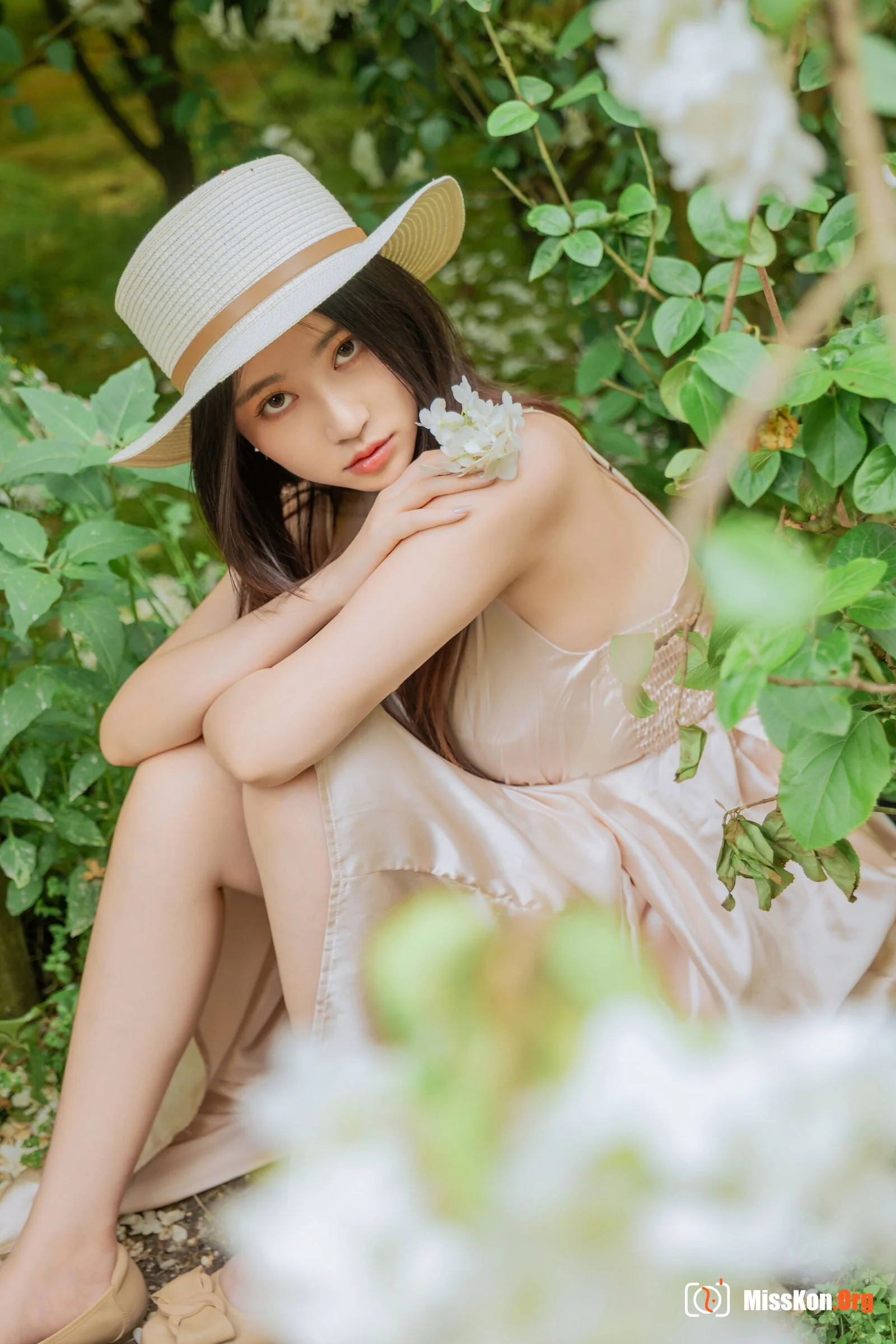 Hydrangea - Photo 82
