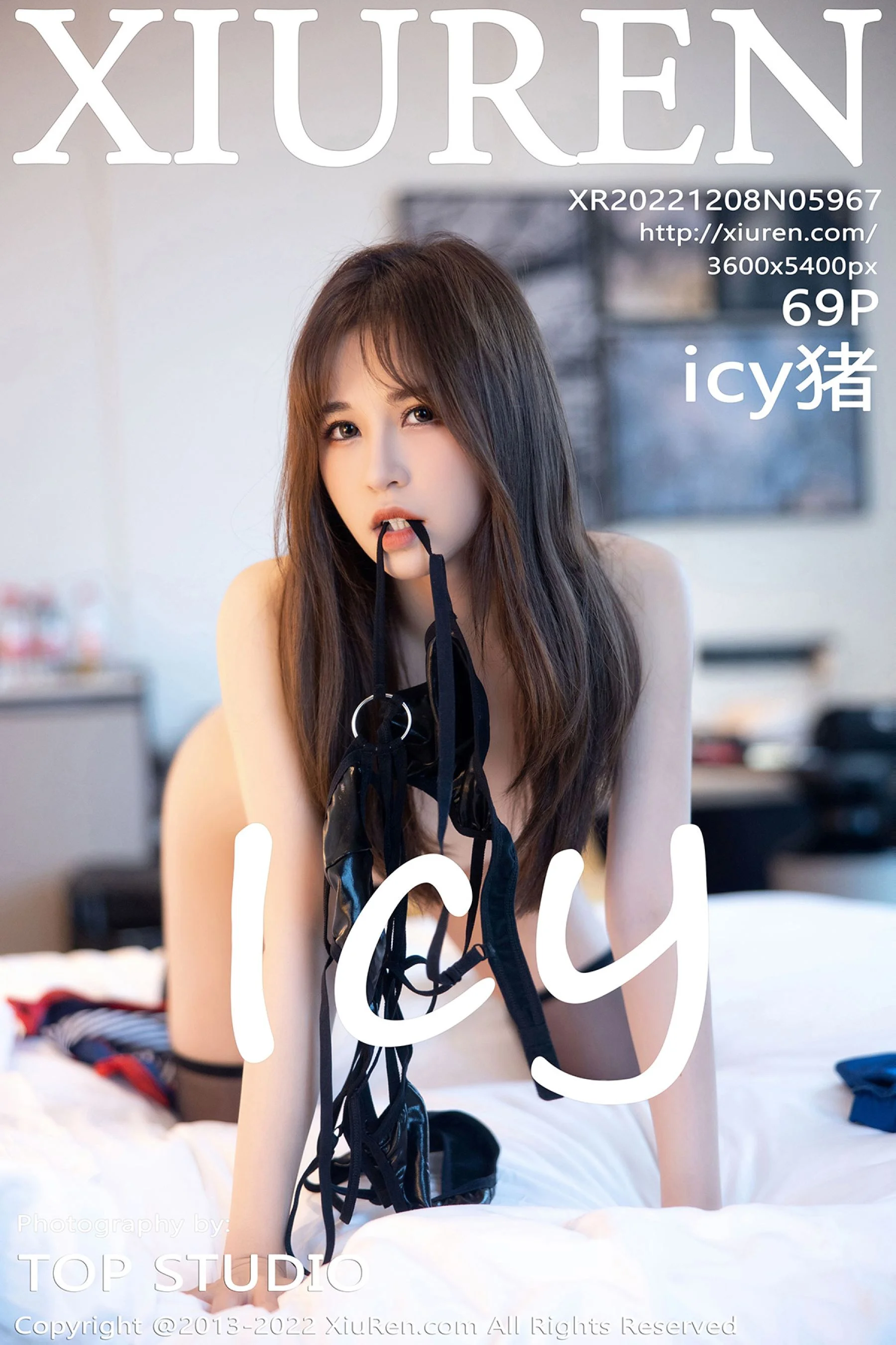 icy Pig