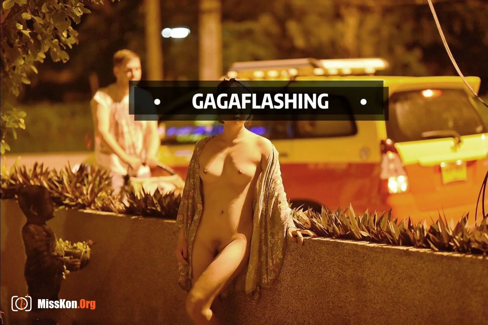 网红博主 Gagaflashing 露出合集 - 照片 40