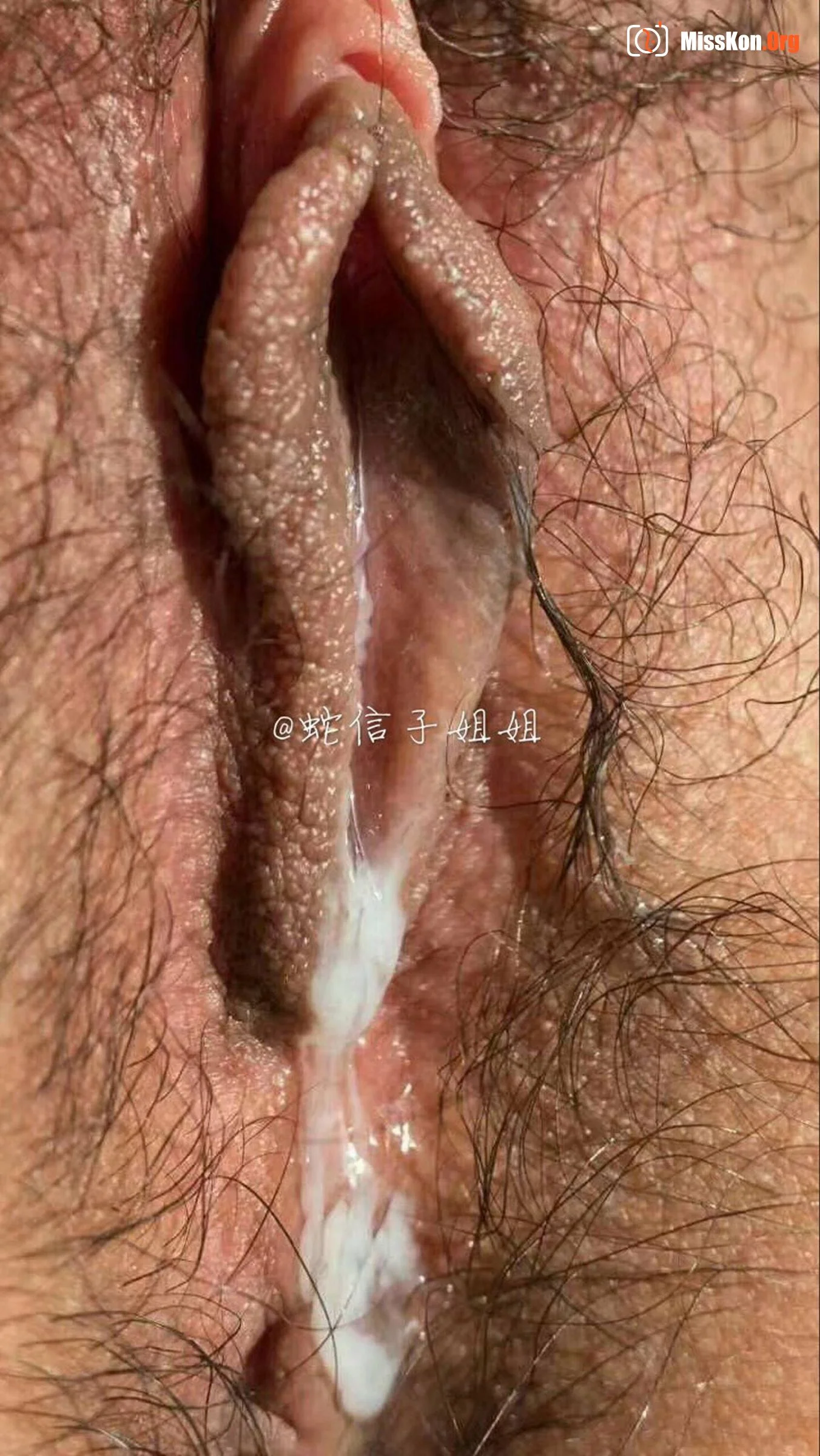 [Internet Collection] Sister Snake Xinzi Twitter Collection - Photo 19
