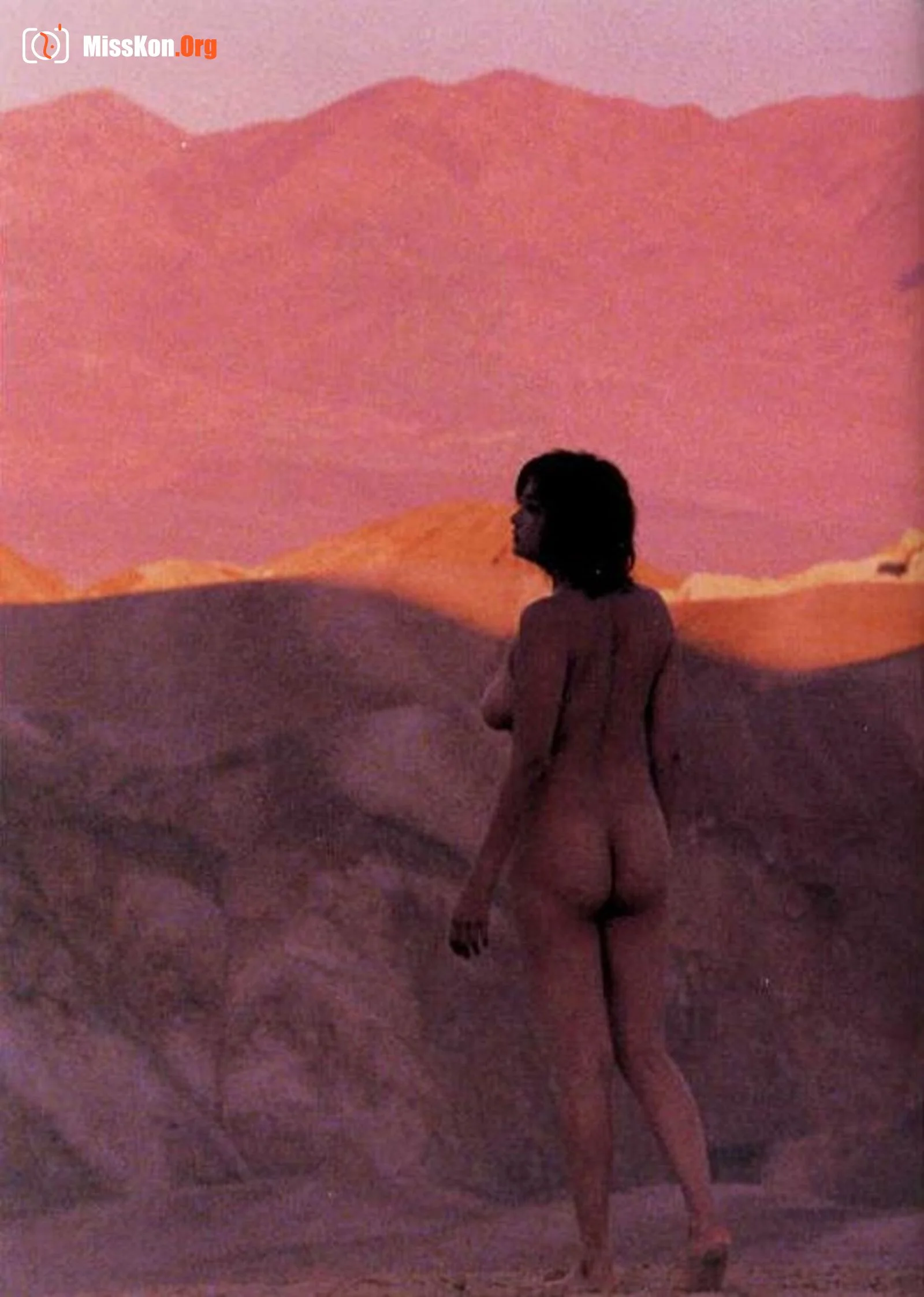 Island saint: West by South (Vol. 1999.1) - Photo 18
