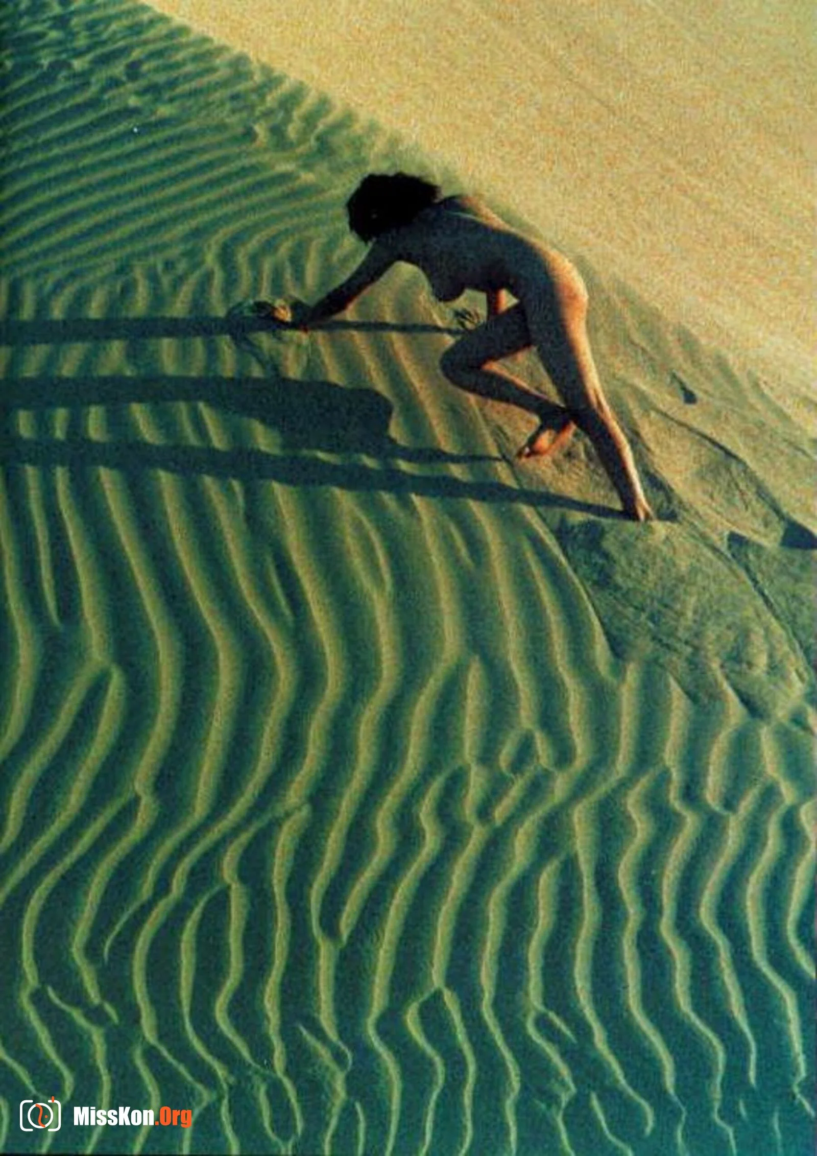 Island saint: West by South (Vol. 1999.1) - Photo 19