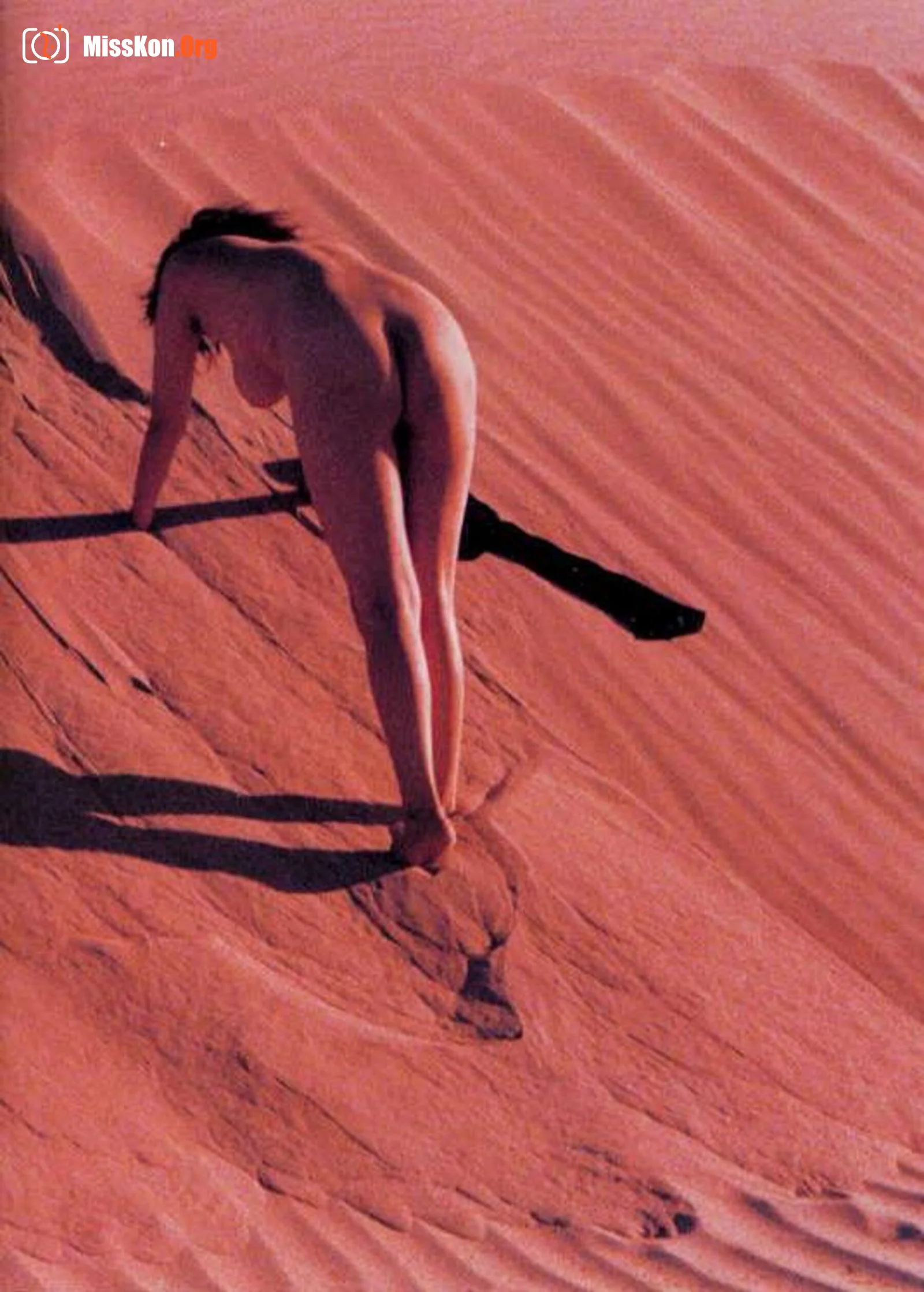 Island saint: West by South (Vol. 1999.1) - Photo 20