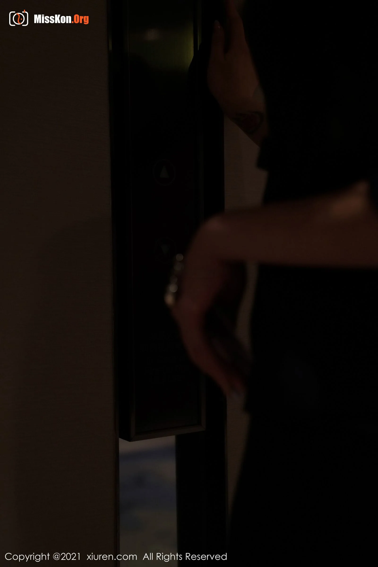 Jade rabbit miki - Photo 10