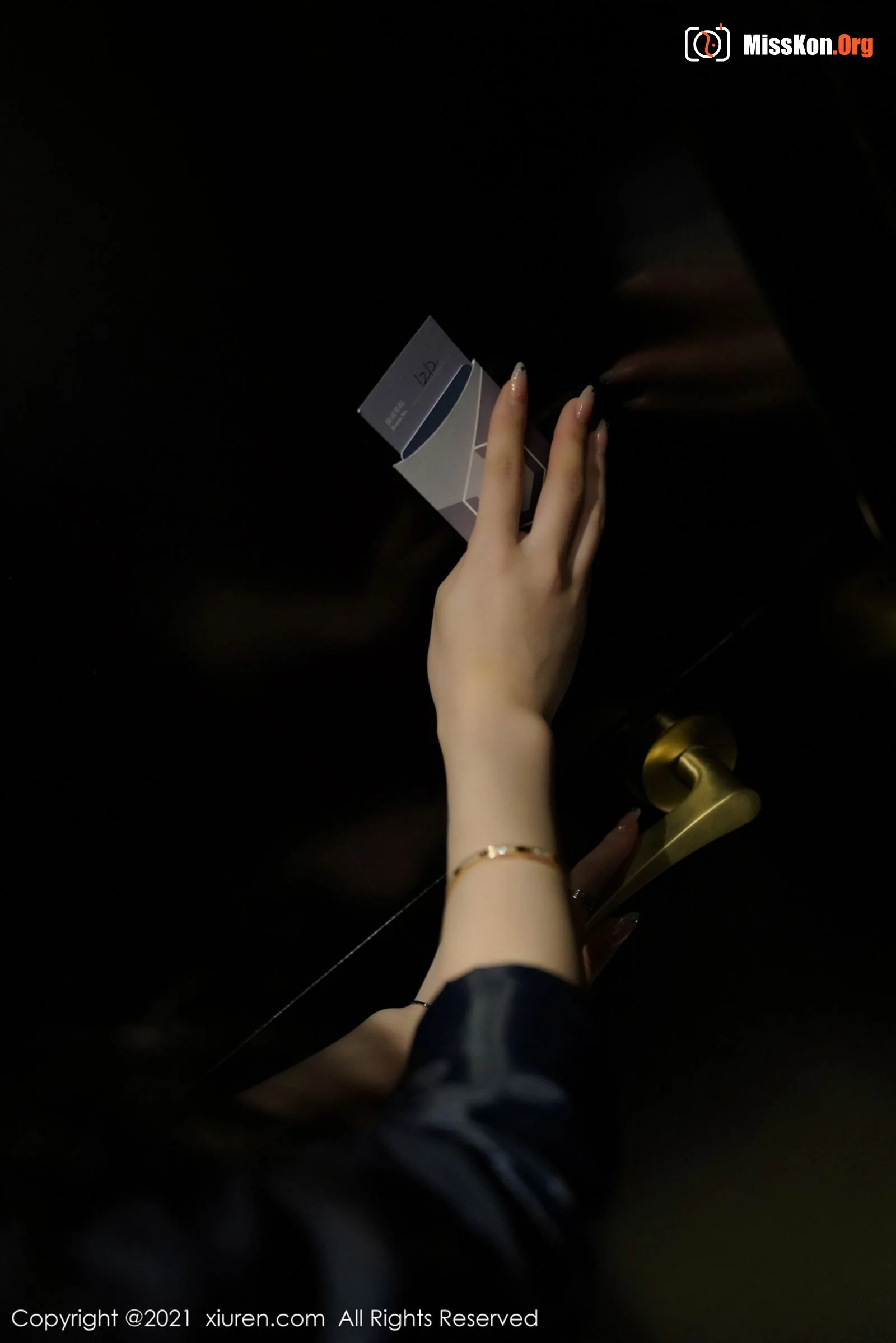 Jade rabbit miki - Photo 17