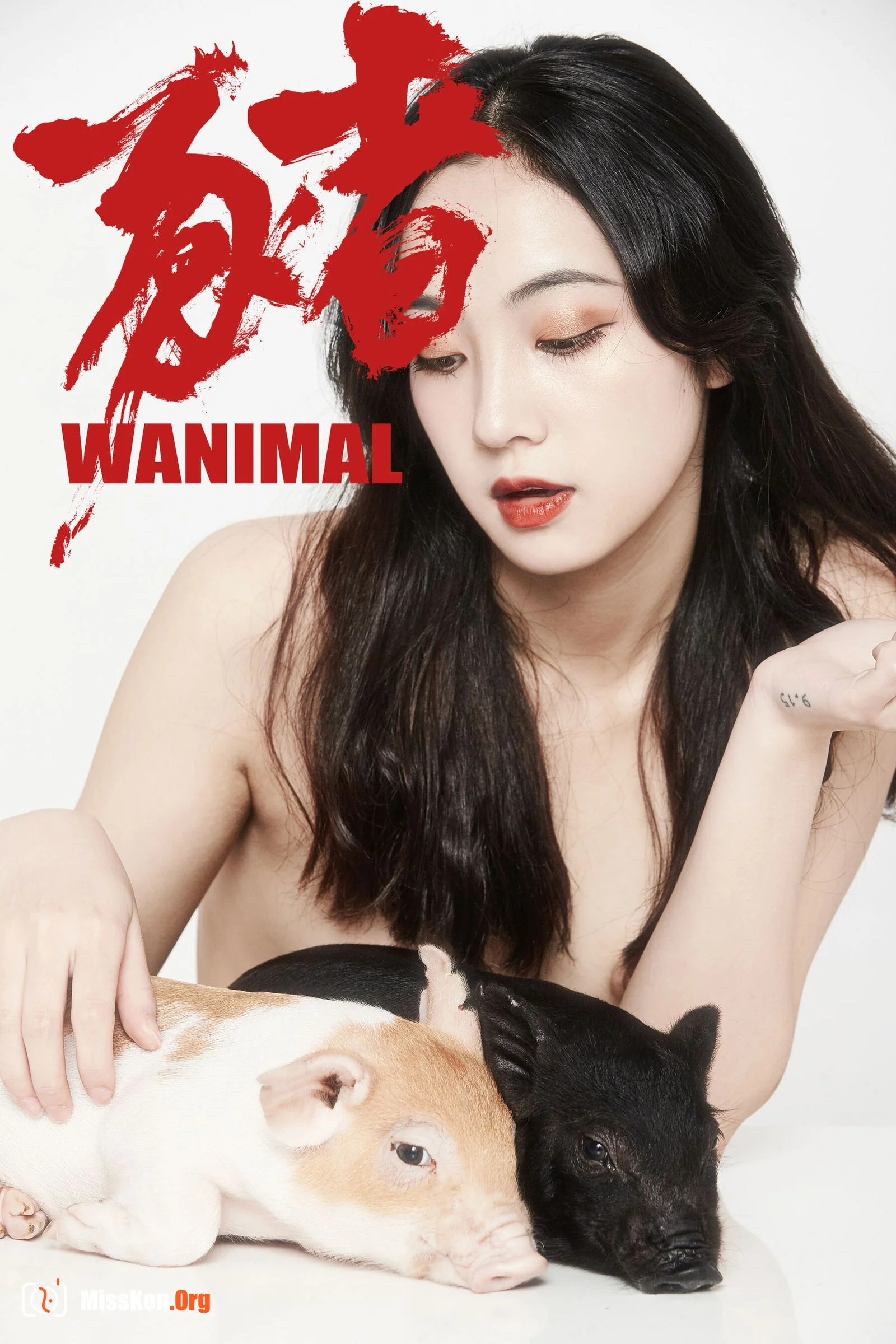 婕哥《猪年新春特辑》 - 照片 16