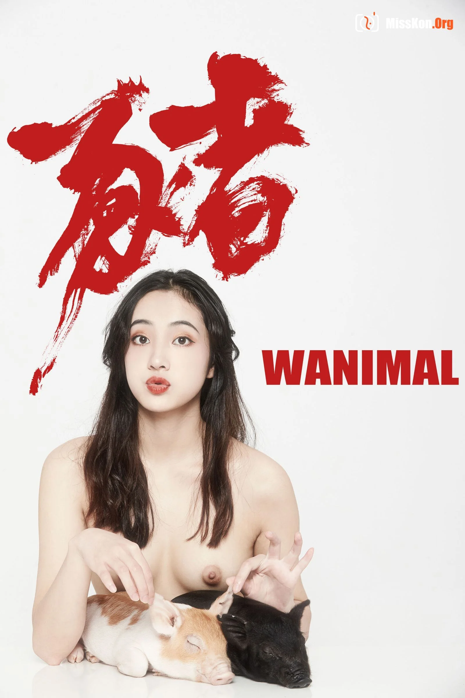 婕哥《猪年新春特辑》 - 照片 3
