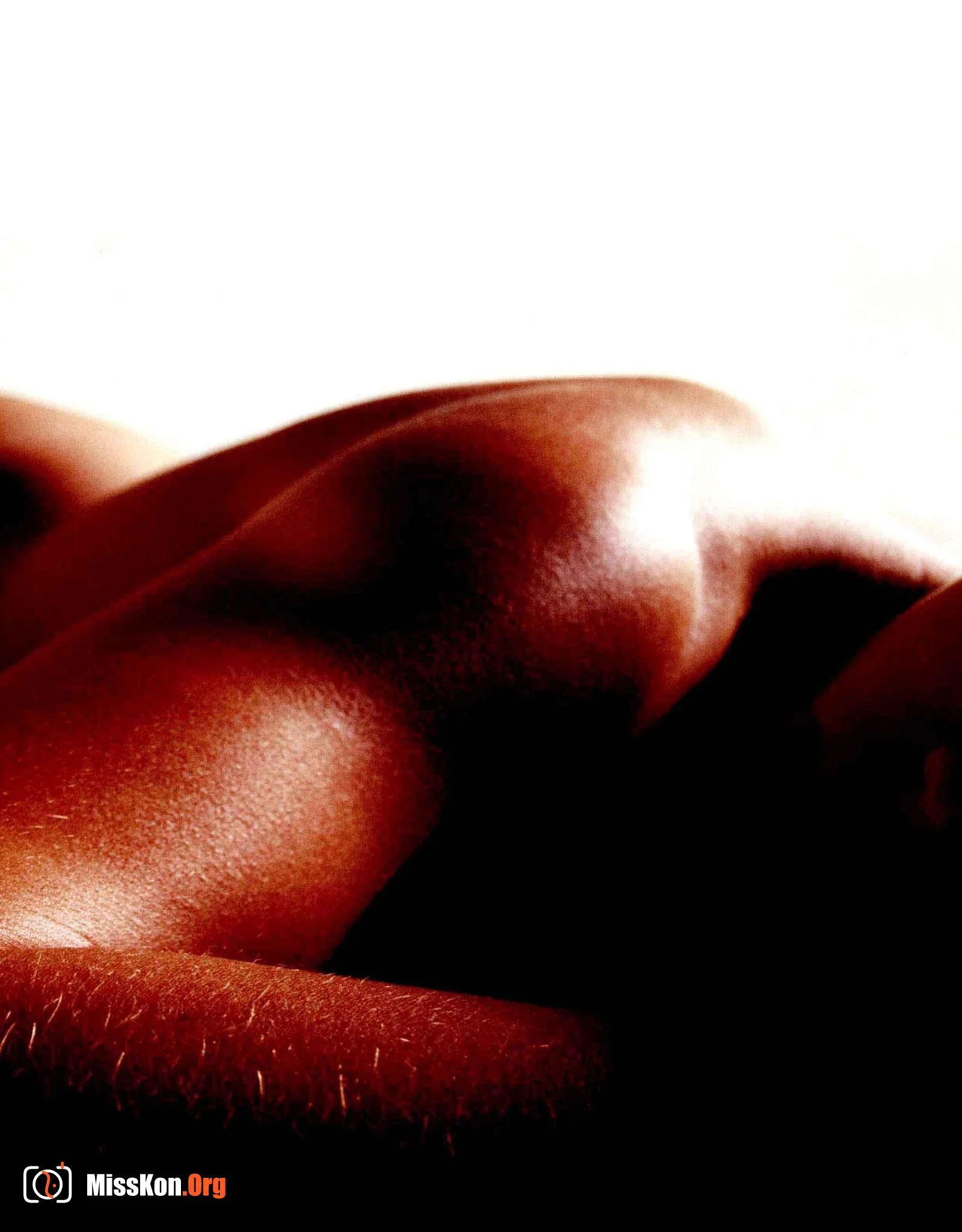 John Freeman's Nude Photography Tutorial (China National Photography Art Publishing House) - Photo 8