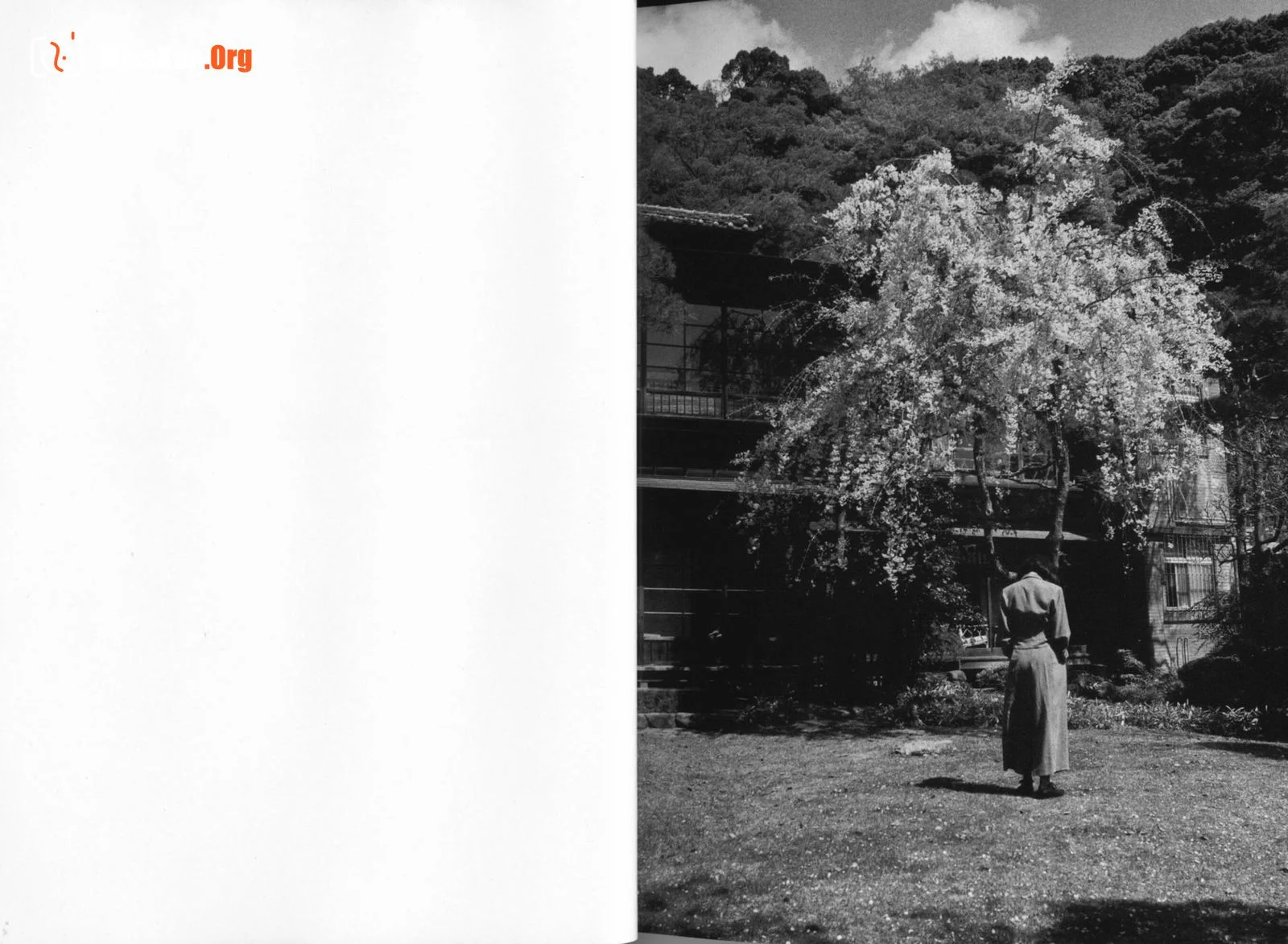 Kanako Higuchi: Water fruit (Asahi Publishing) - Photo 15
