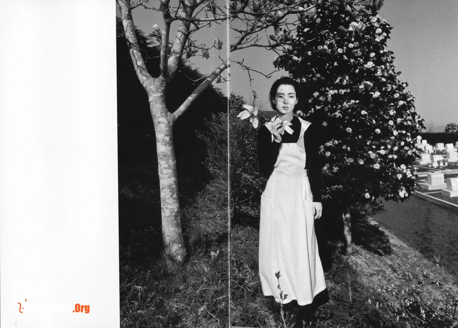 Kanako Higuchi: Water fruit (Asahi Publishing) - Photo 8
