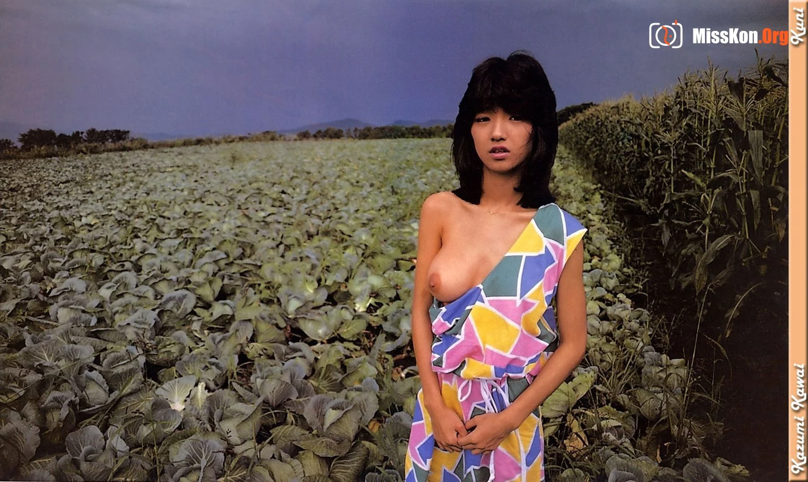 Kazumi Kawai - Photo 10