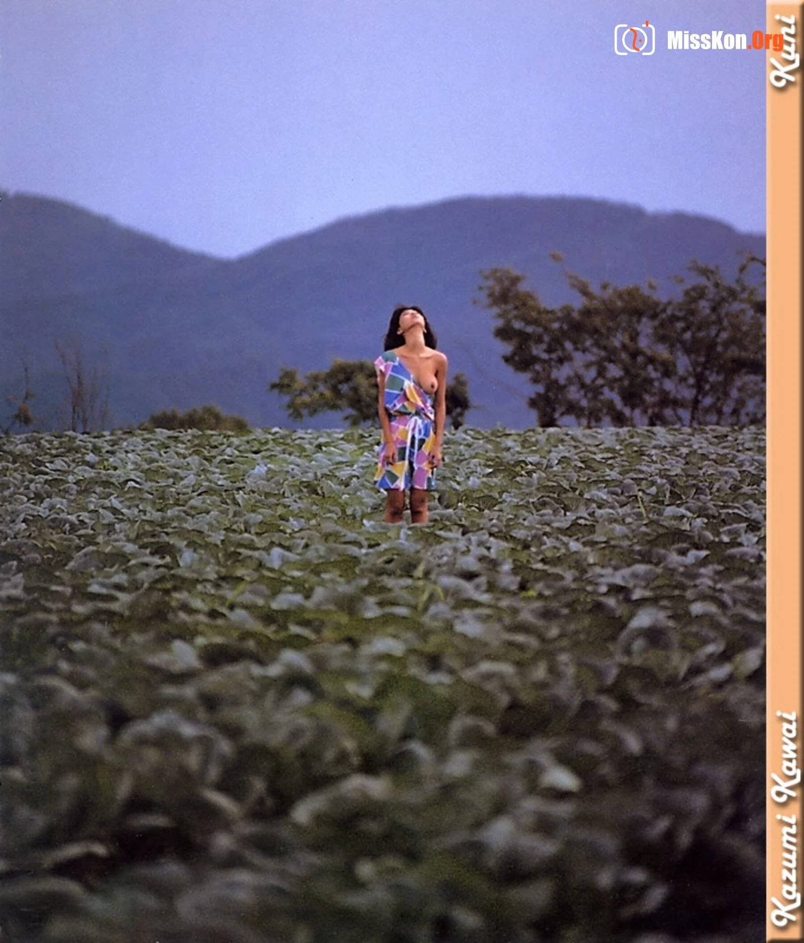 Kazumi Kawai - Photo 11
