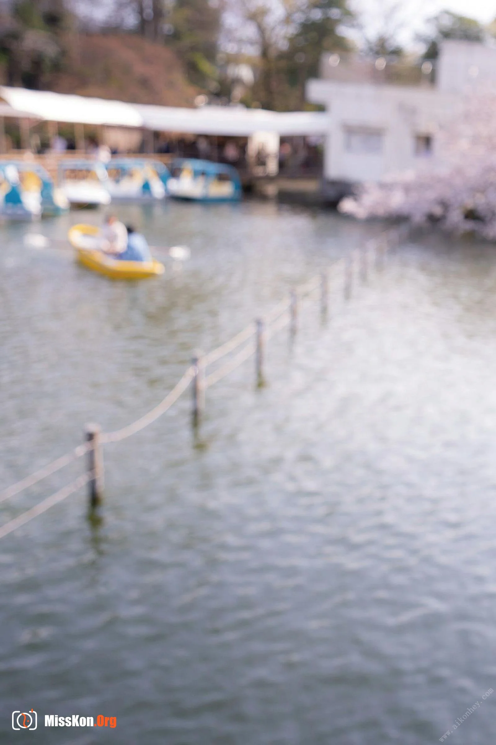 Kinoshita Rinko: Spring, Summer, Fall, Winter "Spring" - Photo 7