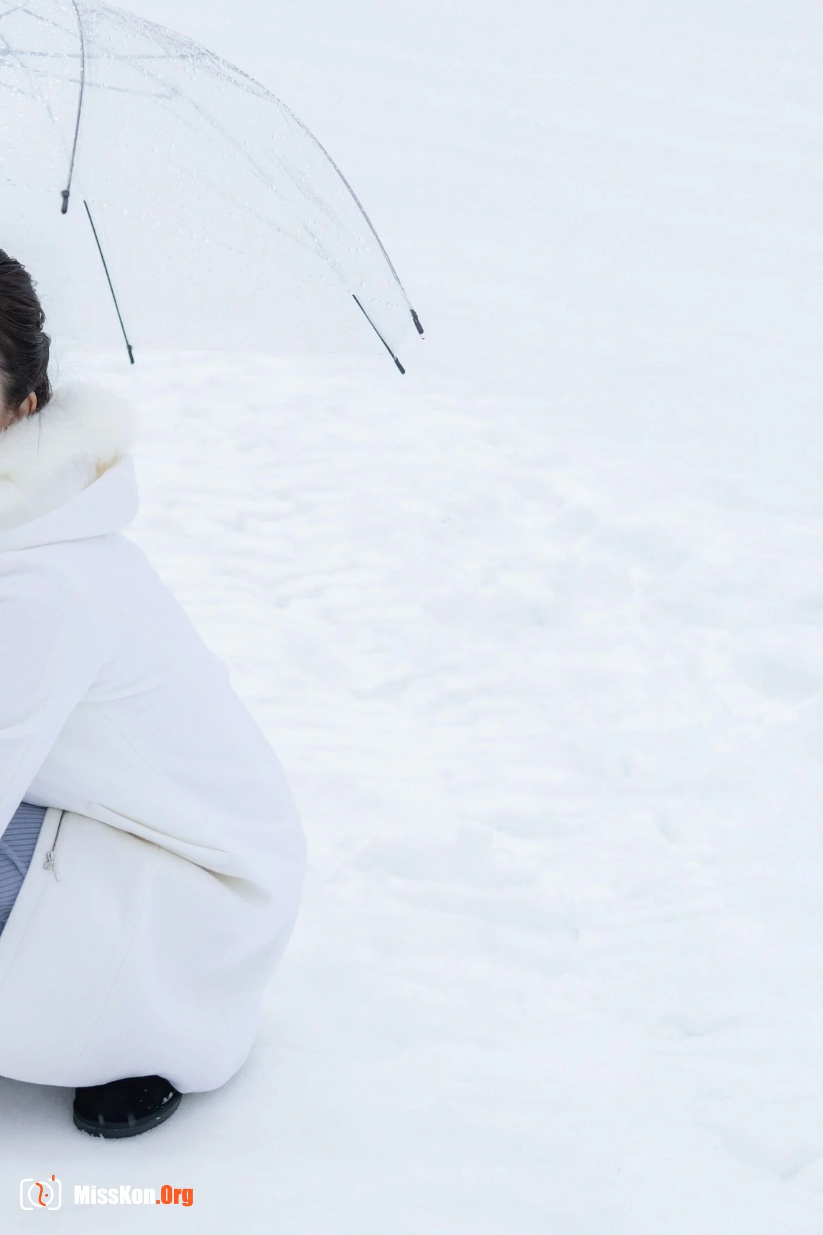 Kinoshita Rinko: Spring, Summer, Fall, Winter "Winter" - Photo 2