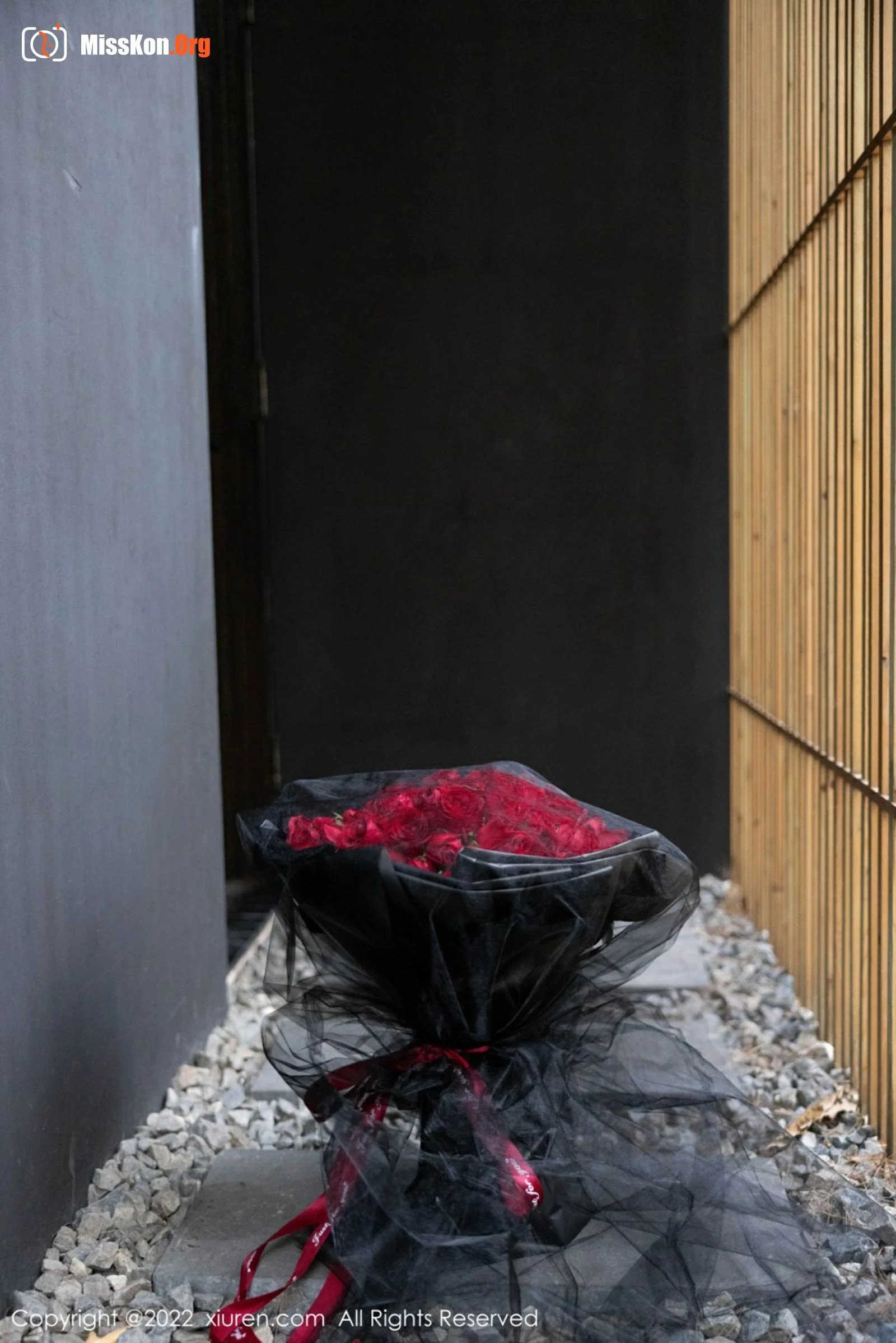 Kirika - Photo 3