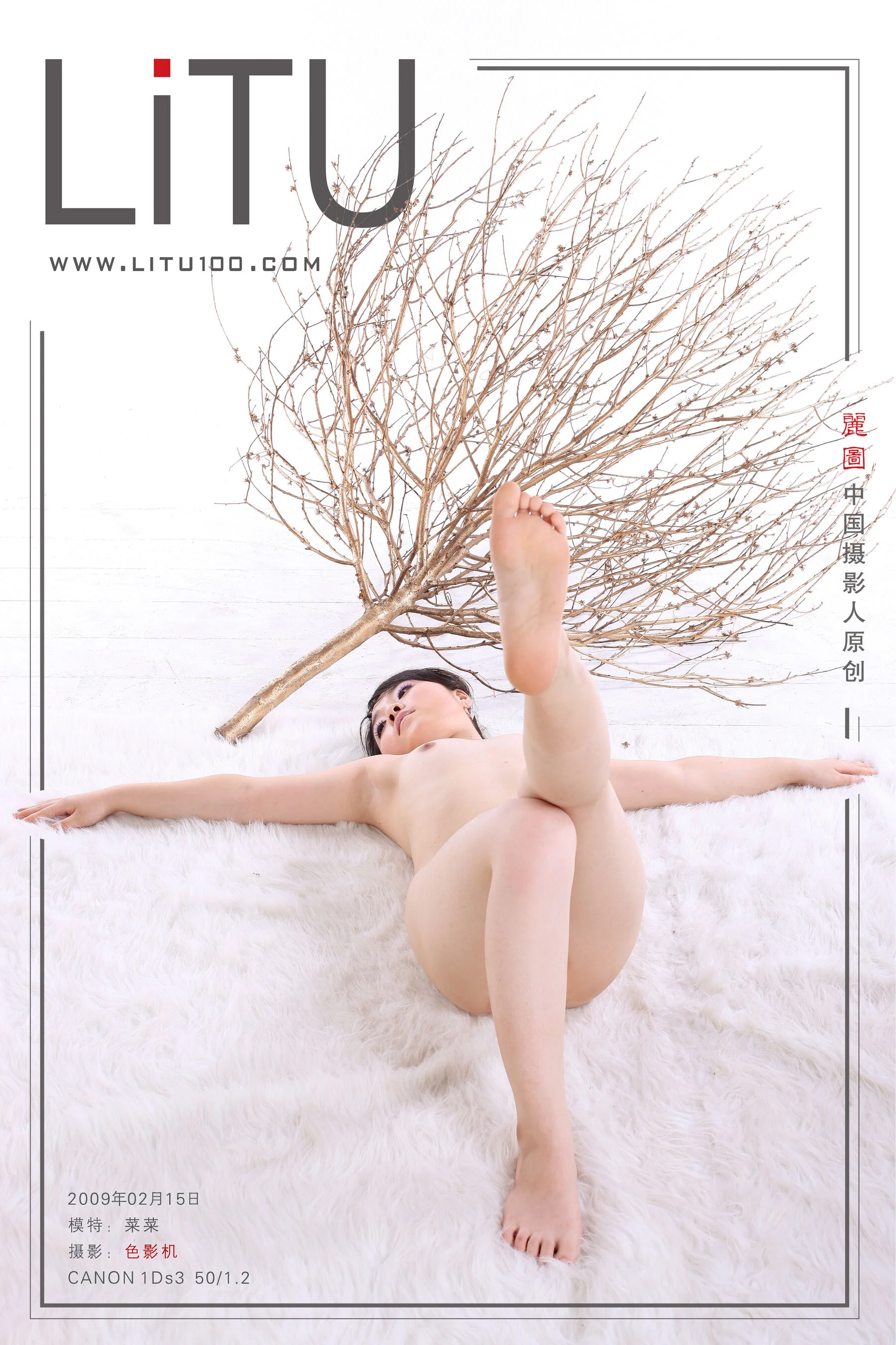 莱莱（2009-02-15）