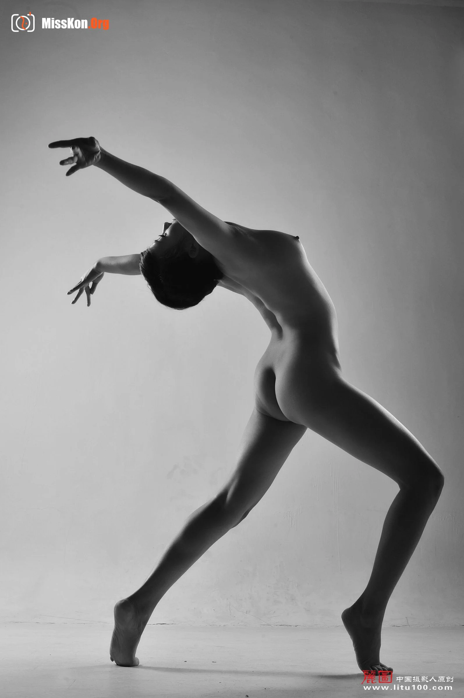 Lin Li (2011-02-17) - Photo 8