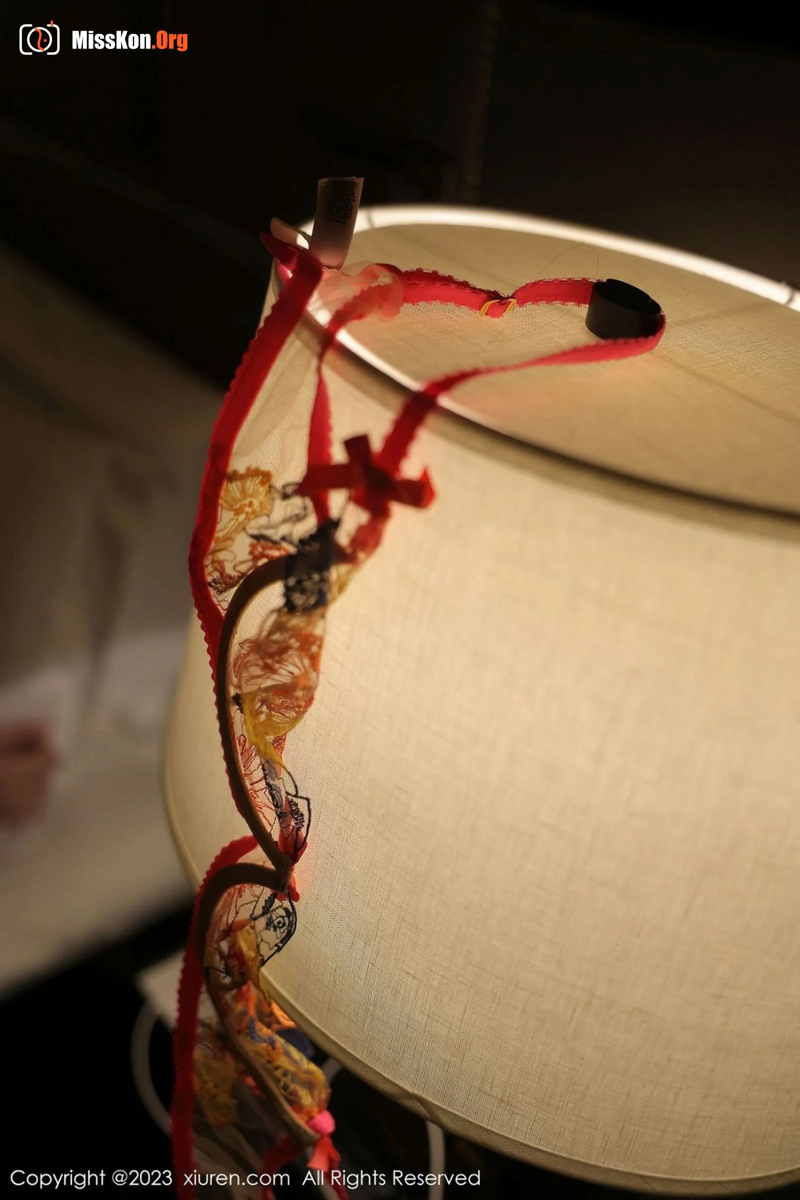 Lin Shanshan - Photo 103