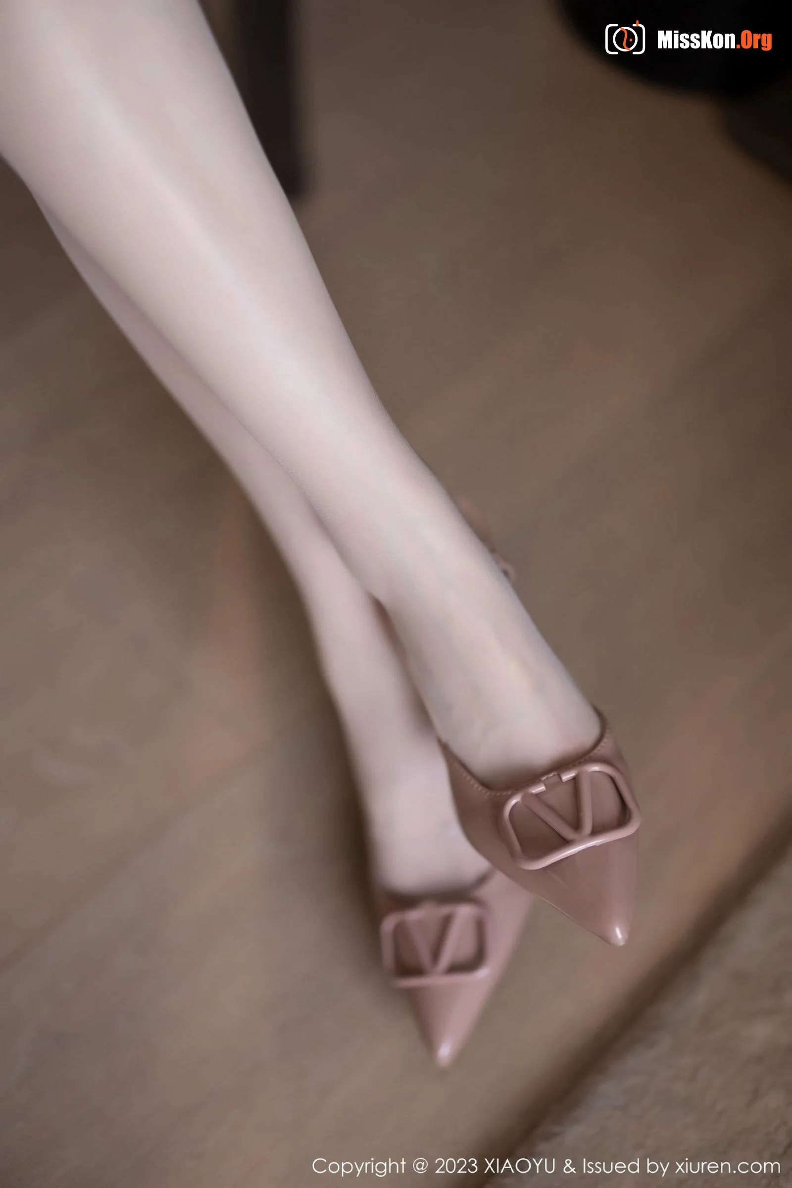 Lin Xinglan - Photo 28