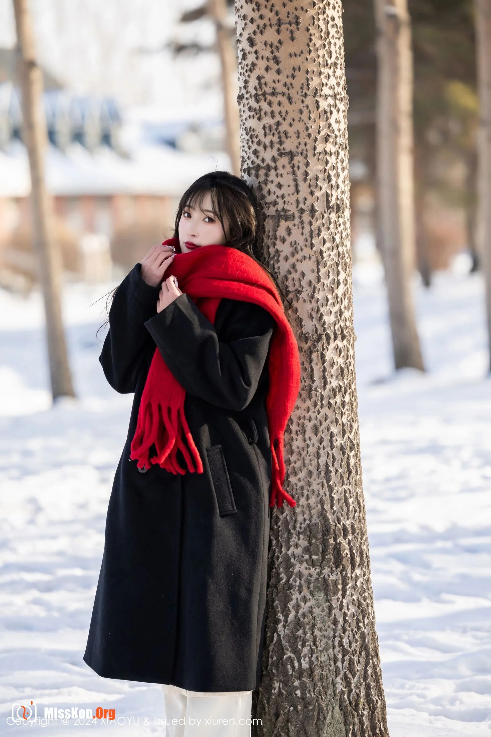 Lin Xinglan - Photo 5