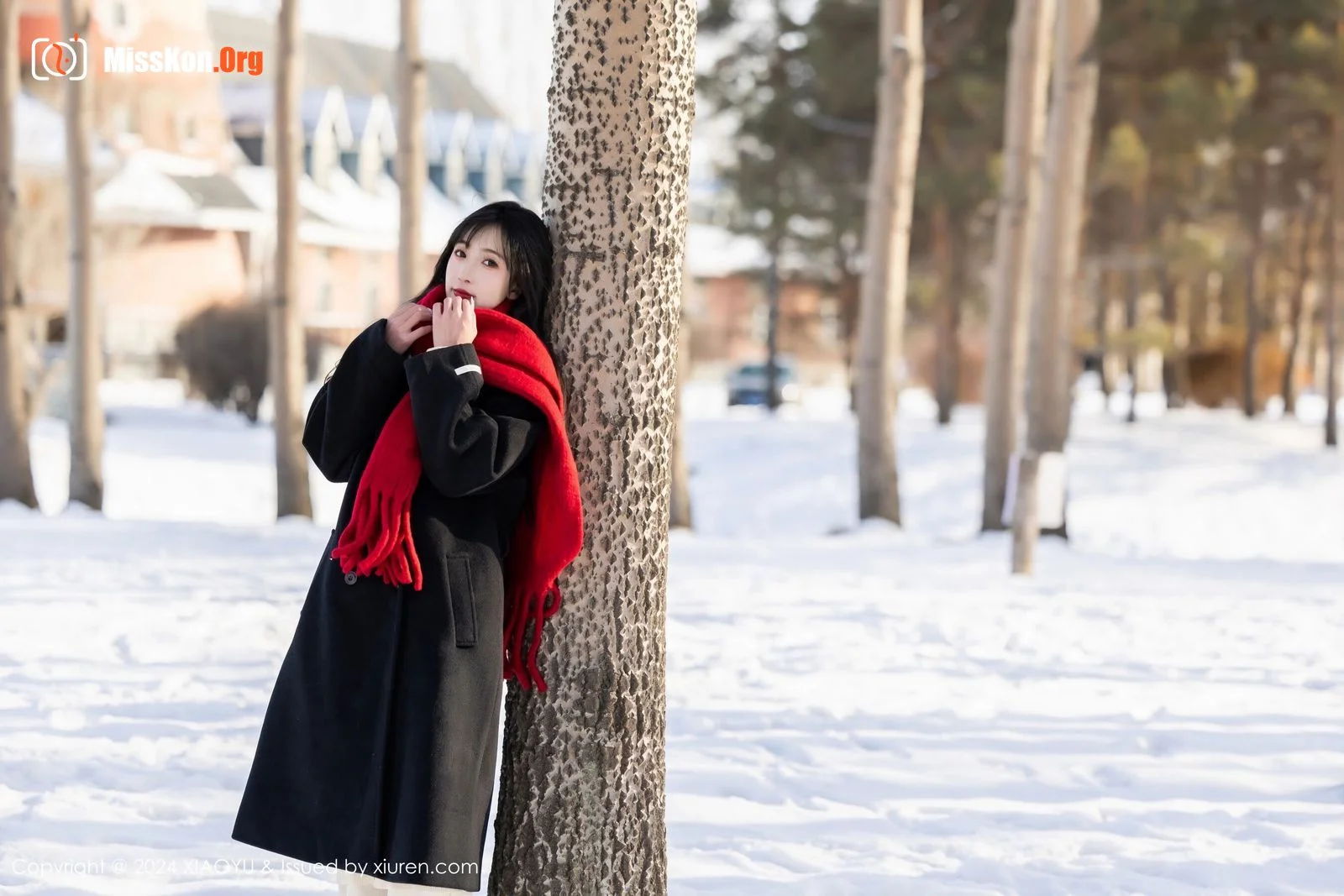 Lin Xinglan - Photo 7